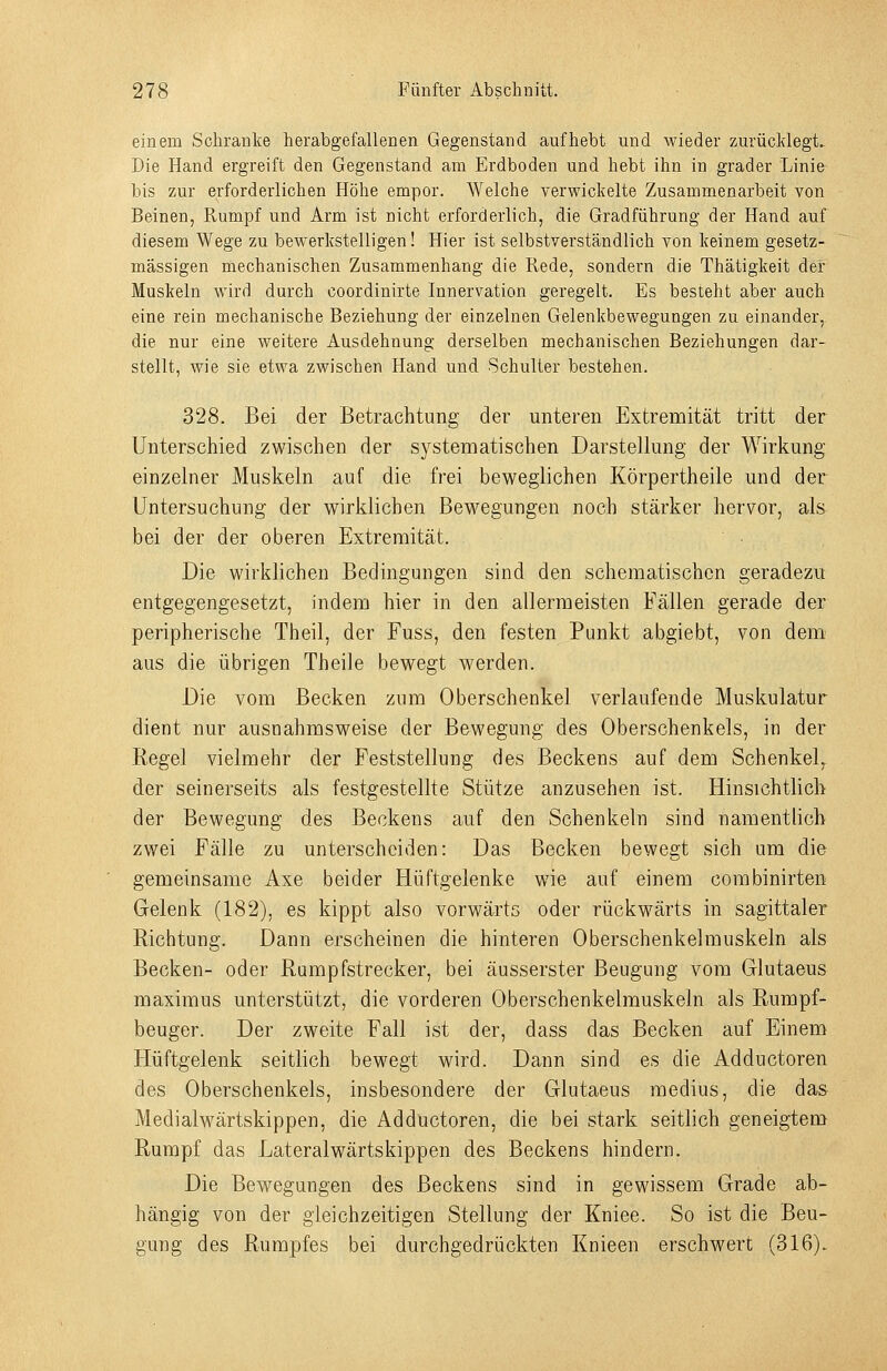 einem Schranke herabgefallenen Gegenstand aufhebt und wieder zurücklegt. Die Hand ergreift den Gegenstand am Erdboden und hebt ihn in grader Linie bis zur erforderlichen Höhe empor. Welche verwickelte Zusammenarbeit von Beinen, Rumpf und Arm ist nicht erforderlich, die Gradführung der Hand auf diesem Wege zu bewerkstelligen! Hier ist selbstverständlich von keinem gesetz- mässigen mechanischen Zusammenhang die Rede, sondern die Thätigkeit der Muskeln wird durch coordinirte Innervation geregelt. Es besteht aber auch eine rein mechanische Beziehung der einzelnen Gelenkbewegungen zu einander, die nur eine weitere Ausdehnung derselben mechanischen Beziehungen dar- stellt, wie sie etwa zwischen Hand und Schulter bestehen. 328. Bei der Betrachtung der unteren Extremität tritt der Unterschied zwischen der systematischen Darstellung der Wirkung einzelner Muskeln auf die frei beweglichen Körpertheile und der Untersuchung der wirklichen Bewegungen noch stärker her\^or, als bei der der oberen Extremität. Die wirklichen Bedingungen sind den schematischen geradezu entgegengesetzt, indem hier in den allermeisten Fällen gerade der peripherische Theil, der Fuss, den festen Punkt abgiebt, von dem aus die übrigen Theile bewegt werden. Die vom Becken zum Oberschenkel verlaufende Muskulatur dient nur ausnahmsweise der Bewegung des Oberschenkels, in der Regel vielmehr der Feststellung des Beckens auf dem Schenkel, der seinerseits als festgestellte Stütze anzusehen ist. Hinsichtlich der Bewegung des Beckens auf den Schenkeln sind namentlich zwei Fälle zu unterscheiden: Das Becken bewegt sich um die gemeinsame Axe beider Hüftgelenke wie auf einem combinirten Gelenk (182), es kippt also vorwärts oder rückwärts in sagittaler Richtung. Dann erscheinen die hinteren Oberschenkelmuskeln als Becken- oder Rumpfstrecker, bei äusserster Beugung vom Glutaeus maximus unterstützt, die vorderen Oberschenkelmuskeln als Rumpf- beuger. Der zweite Fall ist der, dass das Becken auf Einem Hüftgelenk seitlich bewegt wird. Dann sind es die Adductoren des Oberschenkels, insbesondere der Glutaeus medius, die das Medialwärtskippen, die Adductoren, die bei stark seitlich geneigtem Rumpf das Lateralwärtskippen des Beckens hindern. Die Bewegungen des Beckens sind in gewissem Grade ab- hängig von der gleichzeitigen Stellung der Kniee. So ist die Beu- gung des Rumpfes bei durchgedrückten Knieen erschwert (316).