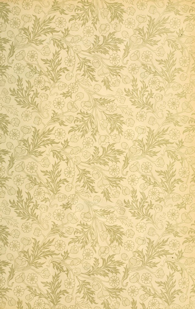 digitised image 3