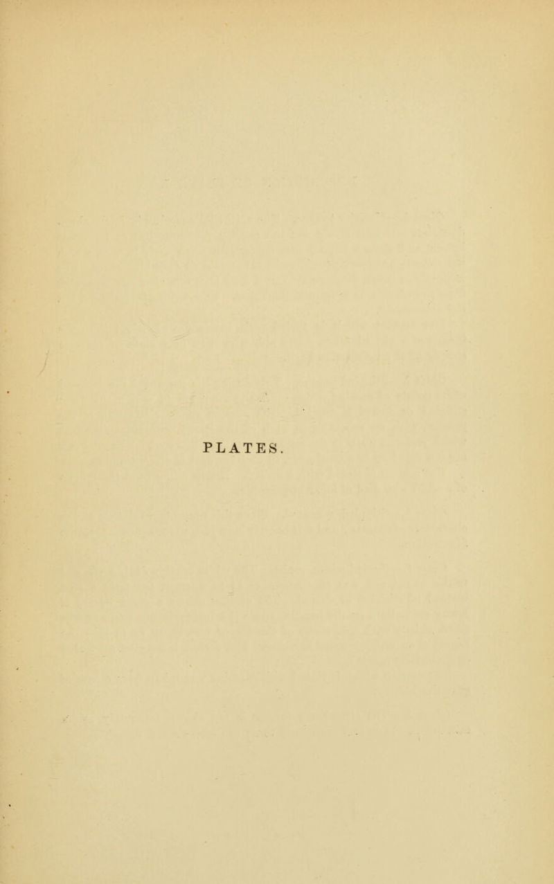PLATES.