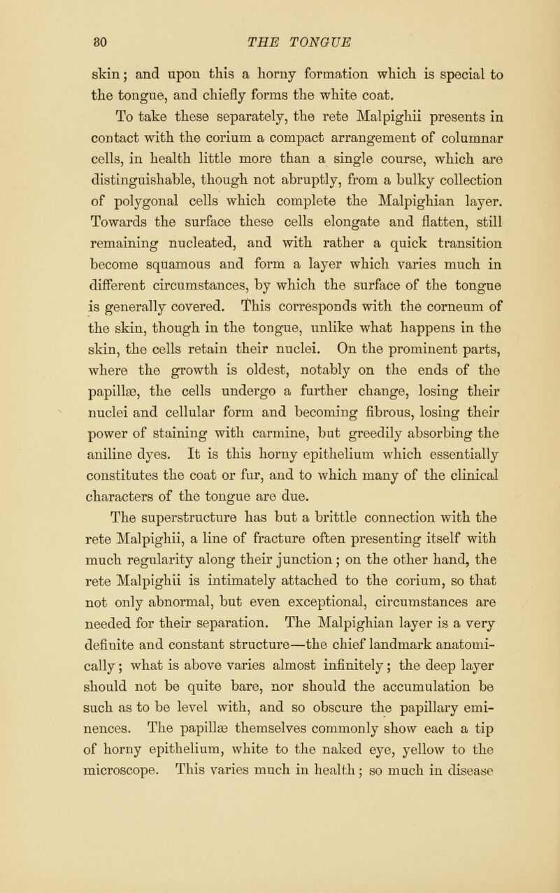 skin; and upon this a horny formation which is special to the tongue, and chiefly forms the white coat. To take these separately, the rete Malpighii presents in contact with the corium a compact arrangement of columnar cells, in health little more than a single course, which are distinguishable, though not abruptly, from a bulky collection of polygonal cells which complete the Malpighian layer. Towards the surface these cells elongate and flatten, still remaining nucleated, and with rather a quick transition become squamous and form a layer which varies much in different circumstances, by which the surface of the tongue is generally covered. This corresponds with the corneum of the skin, though in the tongue, unlike what happens in the skin, the cells retain their nuclei. On the prominent parts, where the growth is oldest, notably on the ends of the papillas, the cells undergo a further change, losing their nuclei and cellular form and becoming fibrous, losing their power of staining with carmine, but greedily absorbing the aniline dyes. It is this horny epithelium which essentially constitutes the coat or fur, and to which many of the clinical characters of the tongue are due. The superstructure has but a brittle connection with the rete Malpighii, a line of fracture often presenting itself with much regularity along their junction; on the other hand, the rete Malpighii is intimately attached to the corium, so that not only abnormal, but even exceptional, circumstances are needed for their separation. The Malpighian layer is a very definite and constant structure—the chief landmark anatomi- cally ; what is above varies almost infinitely; the deep layer should not be quite bare, nor should the accumulation be such as to be level with, and so obscure the papillary emi- nences. The papillao themselves commonly show each a tip of horny epithelium, white to the naked eye, yellow to the microscope. This varies much in health; so much in disease