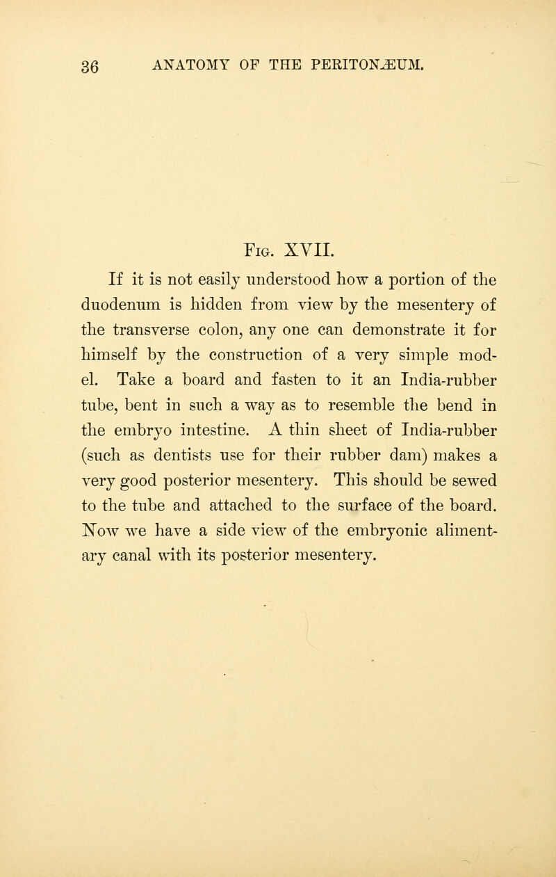 Fia. XVII. If it is not easily understood how a portion of the duodenum is hidden from view by the mesentery of the transverse colon, any one can demonstrate it for himself by the construction of a very simple mod- el. Take a board and fasten to it an India-rubber tube, bent in such a way as to resemble the bend in the embryo intestine. A thin sheet of India-rubber (such as dentists use for their rubber dam) makes a very good posterior mesentery. This should be sewed to the tube and attached to the surface of the board. I^ow we have a side view of the embryonic aliment- ary canal with its posterior mesentery.