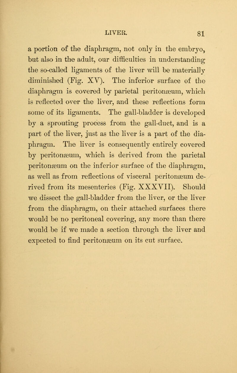 a portion of the diaphragm, not only in the embryo, but also in the adult, our difficulties in understanding the so-called ligaments of the liver will be materially diminished (Fig. XY). The inferior surface of the diaphragm is covered by parietal peritonaeum, which is reflected over the liver, and these reflections form some of its ligaments. The gall-bladder is developed by a sprouting process from the gall-duct, and is a part of the liver, just as the liver is a part of the dia- phragm. The liver is consequently entirely covered by peritongeum, which is derived from the parietal peritongeum on the inferior surface of the diaphragm, as well as from reflections of visceral peritongeum de- rived from its mesenteries (Fig. XXXYII). Should we dissect the gall-bladder from the liver, or the liver from the diaphragm, on their attached surfaces there would be no peritoneal covering, any more than there would be if we made a section through the liver and expected to find peritonaeum on its cut surface.