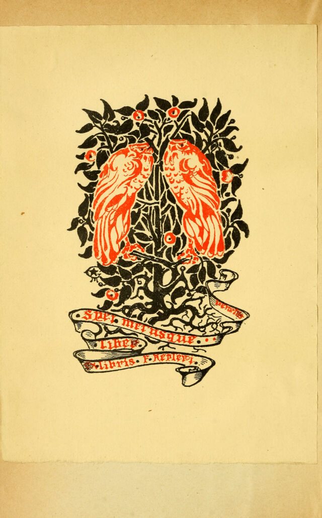 digitised image 2