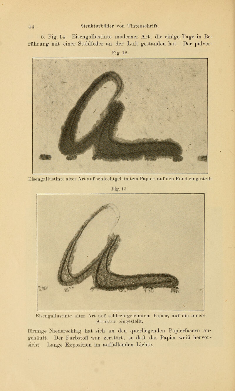 5. Fig. 14. Eisengallustinte moderner Art, die einige Tage in Be- rührung mit einer Stahlfeder an der Luft gestanden hat. Der pulver- Fio-. 12. Eisengallustinte alter Art auf schlechtgeleimtera Papier, auf den ßand eingestellt. Fiff. 13. J'visengallustints alter Art auf schlechtgeleimtem Papier, auf die innere Struktur eingestellt. förmige Niederschlag hat sich an den querliegenden Papierfasern an- gehäuft. Der Farbstoff war zerstört, so daß das Papier weiß hervor- sieht. Lange Exposition im auffallenden Lichte.