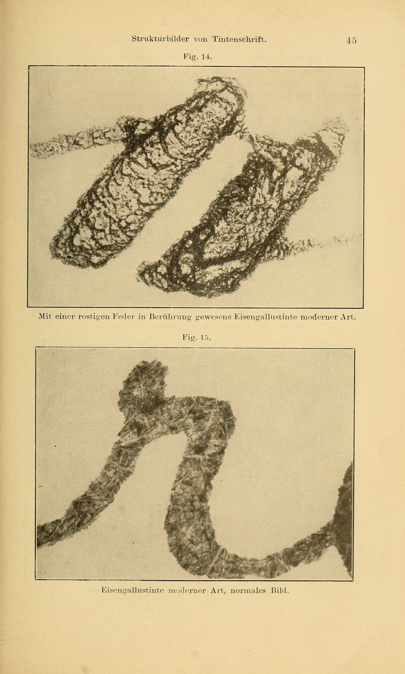 Fior. 14. ^^ 'M*^^^^ ■ ^^^^^P^¥ÄN*«Jiä k^' i^J^^S^fe^^^Ä ^^^^^^ ll^ ^^^si^^^^P^ mHI^PH^ ^P .^^r J^w jÄf^J^^^ riifflP^^^^^fflF ^^^^^ jm^^^Bm^/^-^ ' * • -^^^affilHF^aF^ . i^wnwjM ■ipi'^wyHw^-*>* 1 ^r ^ Mit einer rostigen Feder in Berührung gewesene EisengaUustinte moderner Art. Pia-. 15. Eisengallustinte moderner Art, normales Bild.