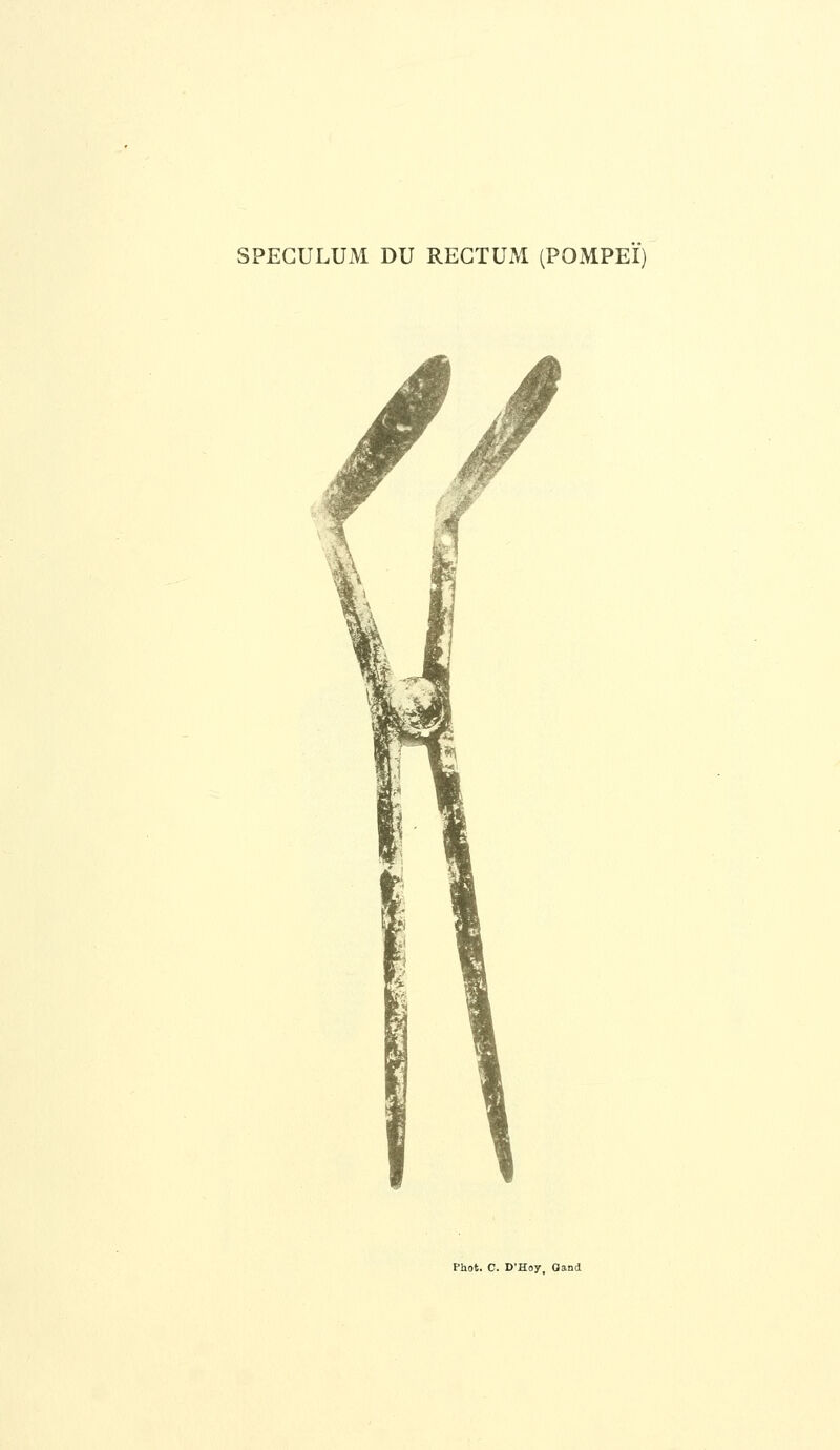 SPECULUM DU RECTUM (POMPEÏ)