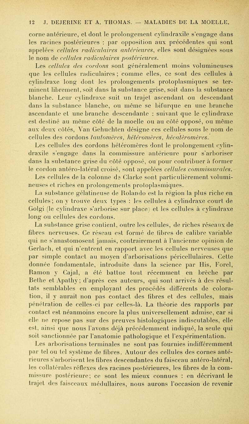 corne antérieure, et dont le prolongement cylindraxite s'engage dans les racines postérieures : par opposition aux précédentes qui sont appelées cellules radiculaires antérieures, elles sont désignées sous le nom de cellules radiculaires postérieures. Les cellules des cordons sont généralement moins volumineuses que les cellules radiculaires ; comme elles, ce sont des cellules à cylindraxe long dont les prolongements protoplasmiques se ter- minent librement, soit dans la substance grise, soit dans la substance blanche. Leur cylindraxe suit un trajet ascendant ou descendant dans la substance blanche, ou même se bifurque en une branche ascendante et une branche descendante : suivant que le cylindraxe est destiné au même côté de la moelle ou au côté opposé, ou même aux deux côtés, Van Gehuchten désigne ces cellules sous le nom de cellules des cordons tautomères, hétéromères, hécalèromères. Les cellules des cordons hétéromères dont le prolongement cylin- draxile s'engage dans la commissure antérieure pour s'arboriser dans la substance grise du côté opposé, ou pour contribuer à former le cordon antéro-latéral croisé, sont appelées cellules commissurales. Les cellules de la colonne de Clarke sont particulièrement volumi- neuses et riches en prolongements protoplasmiques. La substance gélatineuse de Rolando est la région la plus riche en cellules; on y trouve deux types : les cellules à cylindraxe court de Golgi (le cylindraxe s'arborise sur place) et les cellules à cylindraxe long ou cellules des cordons. La substance grise contient, outre les cellules, de riches réseaux de fibres nerveuses. Ce réseau est formé de libres de calibre variable qui ne s'anastomosent jamais, contrairement à l'ancienne opinion de Gerlach, et qui n'entrent en rapport avec les cellules nerveuses que par simple contact au moyen d'arborisations péricellulaires. Cette donnée fondamentale, introduite dans la science par His, Forel, Ramon y Cajal, a été battue tout récemment en brèche par Bethe et Apathy; d'après ces auteurs, qui sont arrivés à des résul- tats semblables en employant des procédés différents de colora- tion, il y aurait non pas contact des fibres et des cellules, mais pénétration de celles-ci par celles-là. La théorie des rapports par contact est néanmoins encore la plus universellement admise, car si elle ne repose pas sur des preuves hisLologiques indiscutables, elle est, ainsi que nous l'avons déjà précédemment indiqué, la seule qui soit sanctionnée par l'anatomie pathologique et l'expérimentation. Les arborisations terminales ne sont pas fournies indilTéremment par tel ou tel système de fibres. Autour des cellules des cornes anté- rieures s'arboriscnt les fibres descendantes du faisceau antéro-latéral, les collatérales réflexes des racines postérieures, les fibres de la com- missure postérieure; ce sont les mieux connues : en décrivant le trajet des faisceaux médullaires, nous aurons l'occasion de revenir