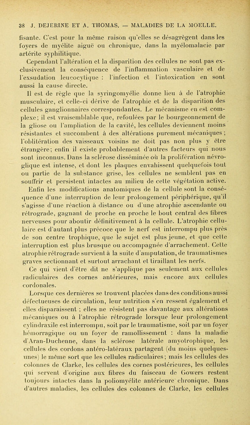 fisante. C'est pour la même raison qu'elles se désagrègent dans les foyers de myélite aiguë ou chronique, dans la myélomalacie par artérite syphilitique. Cependant l'altération et la disparition des cellules ne sont pas ex- clusivement la conséquence de Finflammation vasculaire et de l'exsudation leucocylique : linfection et l'intoxication en sont aussi la cause directe. Il est de règle que la syringomyélie donne lieu à de l'atrophie musculaire, et celle-ci dérive de l'atrophie et de la disparition des cellules ganglionnaires correspondantes. Le mécanisme en est com- plexe; il est vraisemblable que, refoulées par le bourgeonnement de la gliose ou l'ampliation de la cavité, les cellules deviennent moins résistantes et succombent à des altérations purement mécaniques ; l'oblitération des vaisseaux voisins ne doit pas non plus y être étrangère; enfin il existe probablement d'autres facteurs qui nous sont inconnus. Dans la sclérose disséminée où la prolifération névro- glique est intense, et dont les plaques envahissent quelquefois tout ou partie de la substance grise, les cellules ne semblent pas en souffrir et persistent intactes au milieu de cette végétation active. Enfin les modifications anatomiques de la cellule sont la consé- quence d'une interruption de leur prolongement périphérique, qu'il s'agisse d'une réaction à distance ou d'une atrophie ascendante ou rétrograde, gagnant de proche en proche le bout central des fibres nerveuses pour aboutir définitivement à la cellule. L'atrophie cellu- laire est d'autant plus précoce que le nerf est interrompu plus près de son centre trophique, que le sujet est plus jeune, et que celte interruption est plus brusque ou accompagnée d'arrachement. Cette atrophie rétrograde survient à la suite d'amputation, de traumatismes graves sectionnant et surtout arrachant et tiraillant les nerfs. Ce qui vient d'être dit ne s'applique pas seulement aux cellules radiculaires des cornes antérieures, mais encore aux cellules cordonales. Lorsque ces dernières se trouvent placées dans des conditions aussi défectueuses de circulation, leur nutrition s'en ressent également et elles disparaissent ; elles ne résistent pas davantage aux altérations mécaniques ou à l'atrophie rétrograde lorsque leur prolongement cylindraxile est interrompu, soit par le traumatisme, soit par un foyer hémorragique ou un foyer de ramollissement : dans la maladie d'Aran-Duchenne, dans la sclérose latérale amyotrophique, les cellules des cordons antéro-latéraux partagent (du moins quelques- unes) le même sort que les cellules radiculaires; mais les cellules des colonnes de Clarke, les cellules des cornes postérieures, les cellules qui servent d'origine aux fibres du faisceau de Gowers restent toujours intactes dans la poliomyélite antérieure chronique. Dans d'autres maladies, les cellules des colonnes de Clarke, les cellules