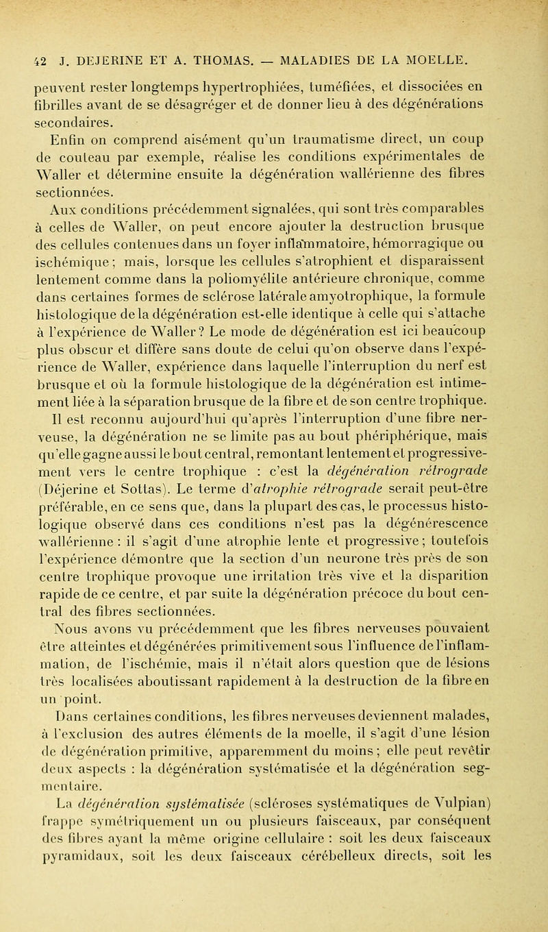 peuvent rester longtemps hypertrophiées, tuméfiées, et dissociées en fibrilles avant de se désagréger et de donner lieu à des dégénérations secondaires. Enfin on comprend aisément qu'un traumatisme direct, un coup de couteau par exemple, réalise les conditions expérimentales de Waller et détermine ensuite la dégénération wallérienne des fibres sectionnées. Aux conditions précédemment signalées, qui sont très comparables à celles de Waller, on peut encore ajouter la destruction brusque des cellules contenues dans un foyer inflaYnmatoire, hémorragique ou ischémique ; mais, lorsque les cellules s'atrophient et disparaissent lentement comme dans la pohomyélite antérieure chronique, comme dans certaines formes de sclérose latérale amyotrophique, la formule histologique delà dégénération est-elle identique à celle qui s'attache à l'expérience de Waller? Le mode de dégénération est ici beaucoup plus obscur et diffère sans doute de celui qu'on observe dans l'expé- rience de Waller, expérience dans laquelle l'interruption du nerf est brusque et où la formule histologique de la dégénération est intime- ment liée à la séparation brusque de la fibre et de son centre trophique. Il est reconnu aujourd'hui qu'après l'interruption d'une fibre ner- veuse, la dégénération ne se limite pas au bout phériphérique, mais qu'elle gagne aussi le bout central, remontant lentement et progressive- ment vers le centre trophique : c'est la dégénéralion rétrograde (Déjerine et Sottas). Le terme d'atrophie rétrograde serait peut-être préférable, en ce sens que, dans la plupart des cas, le processus histo- logique observé dans ces conditions n'est pas la dégénérescence w^allérienne : il s'agit d'une atrophie lente et progressive; toutefois l'expérience démontre que la section d'un neurone très près de son centre trophique provoque une irritation très vive et la disparition rapide de ce centre, et par suite la dégénération précoce du bout cen- tral des fibres sectionnées. Nous avons vu précédemment que les fibres nerveuses pouvaient être atteintes et dégénérées primitivement sous l'influence de l'inflam- mation, de l'ischémie, mais il n'était alors question que de lésions très localisées aboutissant rapidement à la destruction de la fibre en un point. Dans certaines conditions, les fibres nerveuses deviennent malades, à l'exclusion des autres éléments de la moelle, il s'agit d'une lésion de dégénération primitive, apparemment du moins; elle peut revêtir deux aspects : là dégénération systématisée et la dégénération seg- mcntaire. La dégénération systématisée (scléroses systématiques de Vulpian) frappe symétriquement un ou plusieurs faisceaux, par conséquent des fibres ayant la même origine cellulaire : soit les deux faisceaux pyramidaux, soit les deux faisceaux cérébelleux directs, soit les