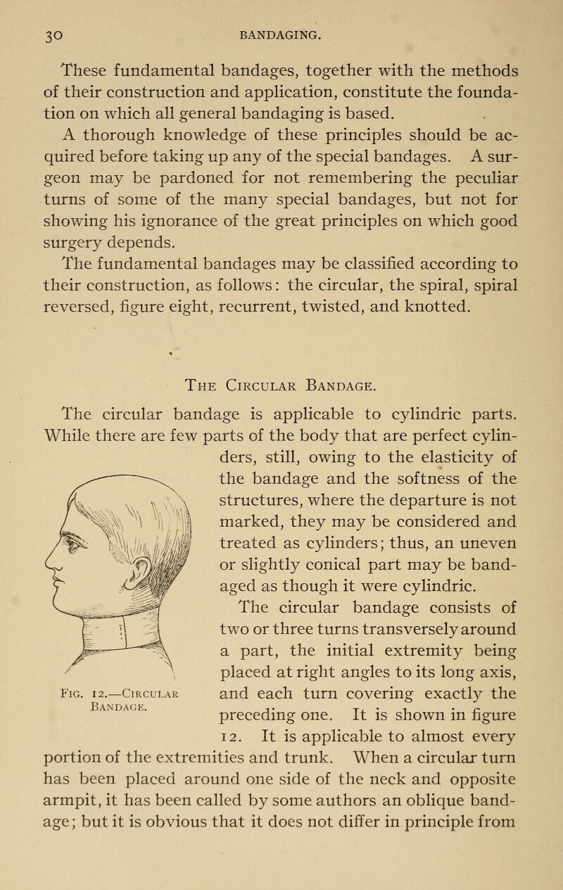 These fundamental bandages, together with the methods of their construction and apphcation, constitute the founda- tion on which all general bandaging is based. A thorough knowledge of these principles should be ac- quired before taking up any of the special bandages. A sur- geon may be pardoned for not remembering the peculiar turns of some of the many special bandages, but not for showing his ignorance of the great principles on which good surgery depends. The fundamental bandages may be classified according to their construction, as follows: the circular, the spiral, spiral reversed, figure eight, recurrent, twisted, and knotted. The Circular Bandage. The circular bandage is applicable to cylindric parts. While there are few parts of the body that are perfect cylin- ders, still, owing to the elasticity of the bandage and the softness of the structures, where the departure is not marked, they may be considered and treated as cylinders; thus, an uneven or slightly conical part may be band- aged as though it were cylindric. The circular bandage consists of two or three turns transversely around a part, the initial extremity being placed at right angles to its long axis, and each turn covering exactly the preceding one. It is shown in figure 12. It is applicable to almost every portion of the extremities and trunk. When a circular turn has been placed around one side of the neck and opposite armpit, it has been called by some authors an oblique band- age ; but it is obvious that it does not differ in principle from Fig. 12.—Circular Bandage,