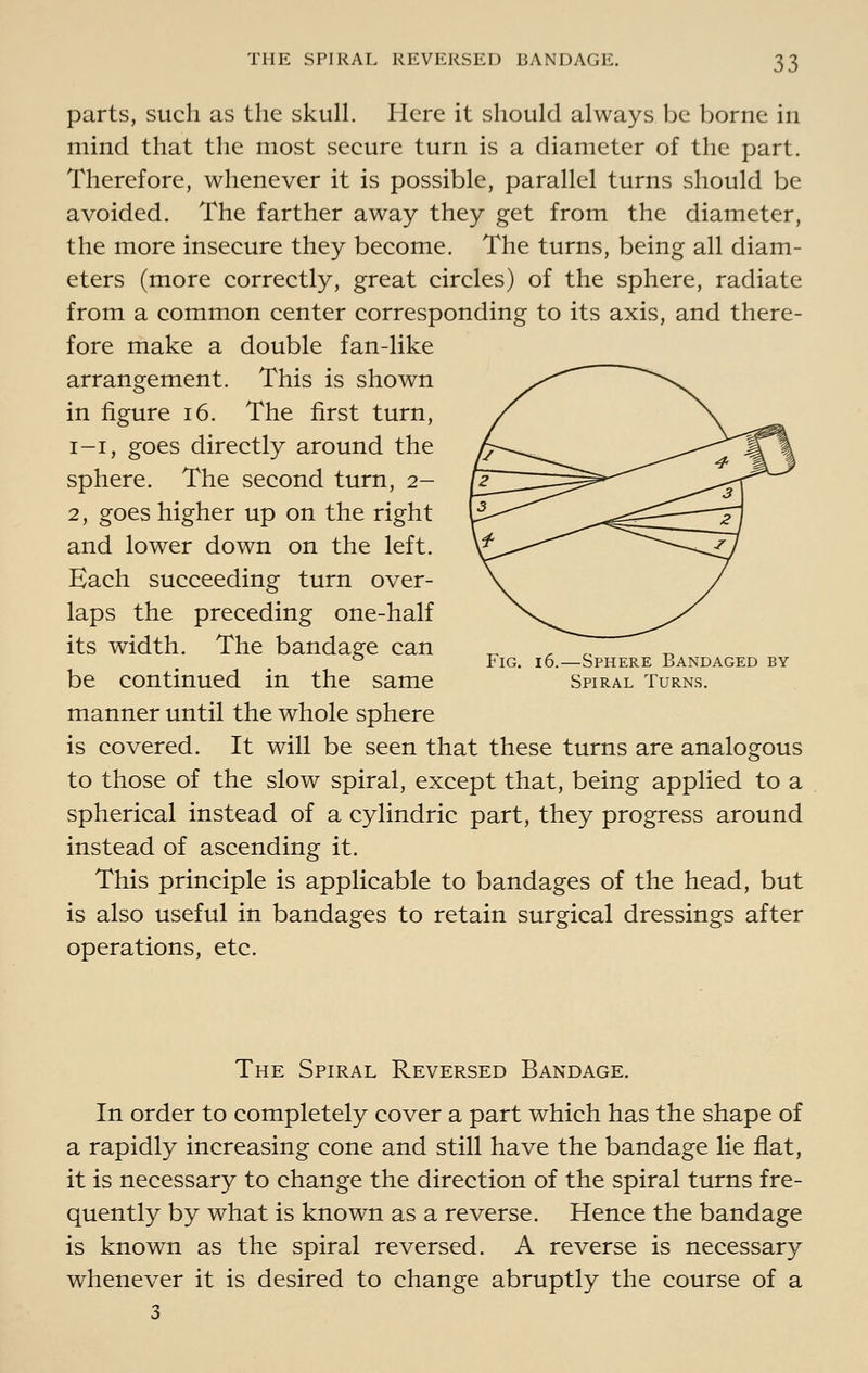 parts, such as the skull. Here it should always be borne in mind that the most secure turn is a diameter of the part. Therefore, whenever it is possible, parallel turns should be avoided. The farther away they get from the diameter, the more insecure they become. The turns, being all diam- eters (more correctly, great circles) of the sphere, radiate from a common center corresponding to its axis, and there- fore make a double fan-like arrangement. This is shown in figure i6. The first turn, I-I, goes directly around the sphere. The second turn, 2- 2, goes higher up on the right and lower down on the left. Each succeeding turn over- laps the preceding one-half its width. The bandasfe can ^ , ,, ^ Fig. 16.—Sphere Bandaged by be continued in the same Spiral turns. manner until the whole sphere is covered. It will be seen that these turns are analogous to those of the slow spiral, except that, being applied to a spherical instead of a cylindric part, they progress around instead of ascending it. This principle is applicable to bandages of the head, but is also useful in bandages to retain surgical dressings after operations, etc. The Spiral Reversed Bandage. In order to completely cover a part which has the shape of a rapidly increasing cone and still have the bandage lie flat, it is necessary to change the direction of the spiral turns fre- quently by what is known as a reverse. Hence the bandage is known as the spiral reversed. A reverse is necessary whenever it is desired to change abruptly the course of a 3