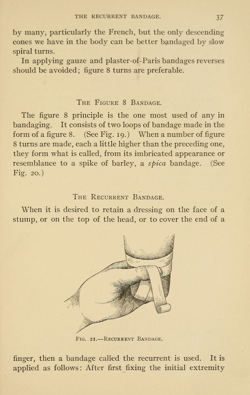 by many, particularly the French, but the only descending cones we have in the body can be better bandaged by slow spiral turns. In applying gauze and plaster-of-Paris bandages reverses should be avoided; figure 8 turns are preferable. The Figure 8 Bandage. The figure 8 principle is the one most used of any in bandaging. It consists of two loops of bandage made in the form of a figure 8. (See Fig. 19.) When a number of figure 8 turns are made, each a little higher than the preceding one, they form what is called, from its imbricated appearance or resemblance to a spike of barley, a spica bandage. (See Fig. 20.) The Recurrent Bandage. When it is desired to retain a dressing on the face of a stump, or on the top of the head, or to cover the end of a Fig. 21.—Recurrent Bandage. finger, then a bandage called the recurrent is used. It is applied as follows: After first fixing the initial extremity