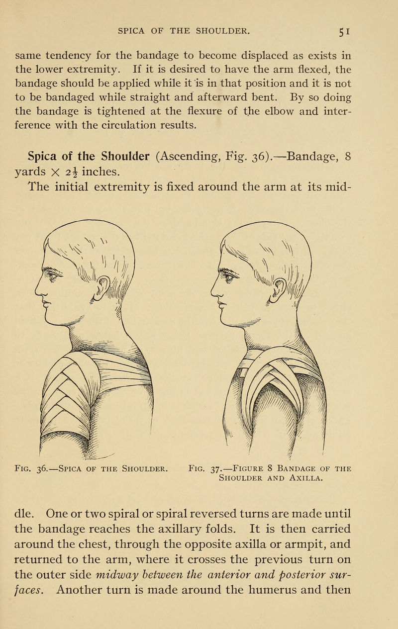 same tendency for the bandage to become displaced as exists in the lower extremity. If it is desired to have the arm flexed, the bandage should be applied while it is in that position and it is not to be bandaged while straight and afterward bent. By so doing the bandage is tightened at the flexure of the elbow and inter- ference with the circulation results. Spica of the Shoulder (Ascending, Fig. 36).—Bandage, 8 yards X 2^ inches. The initial extremity is fixed around the arm at its mid- Fig. 36.—Spica of the Shoulder. Fig. 37.—Figure 8 Bandage of the Shoulder and Axilla. die. One or two spiral or spiral reversed turns are made until the bandage reaches the axillary folds. It is then carried around the chest, through the opposite axilla or armpit, and returned to the arm, where it crosses the previous turn on the outer side midway between the anterior and posterior sur- faces. Another turn is made around the humerus and then