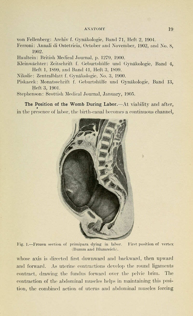 von Fellenberg: Archiv f. Gynakologie, Band 71, Heft 2, 1904. Ferroni: Annali di Ostetricia, October and November, 1902, and No. 8, 1902. Haultein: British MedicalJournal, p. 1279, 1900. Ivleinwachter: Zeitschrift f. Geburtshiilfe und Gynakologie, Band 4, Heft 1, 1899, and Band 41, Heft 3, 1899. Nikolic: Zentralblatt f. Gynakologie, No. 3, 1900. Piskacek: Monatsschrift f. Geburtshiilfe und Gynakologie, Band 13, Heft 3, 1901. Stephenson: Scottish Medical Journal, January, 1905. The Position of the Womb During Labor.—At viability and after, in the presence of labor, the birth-canal becomes a continuous channel, Fig. 1.—Frozen section of primipara dying in labor. (Bumm and Blumreich). First position of vertex whose axis is directed first downward and backward, then upward and forward. As uterine contractions develop the round ligaments contract, drawing the fundus forward over the pelvic brim. The contraction of the abdominal muscles helps in maintaining this posi- tion, the combined action of uterus and abdominal muscles forcing