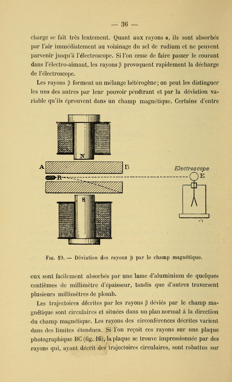 charge se fail très lentement. Quant aux rayons a, ils sont absorbés par Tair immédiatement au voisinage du sel de radium et ne peuvent parvenir jusqu'à rélectroscope. Si l'on cesse de faire passer le courant dans l'électro-aimant, les rayons p provoquent rapidement la décharge de rélectroscope. Les rayons p forment un mélange hétérogène ; on peut les distinguer les uns des autres par leur pouvoir pénétrant et par la déviation va- riable qu'ils éprouvent dans un champ magnétique. Certains d'entre ^ ^ Electroscope A FiG. 19. — Déviation des rayons fs par le champ magnétique. eux sont facilement absorbés par une lame d'aluminium de quelques centièmes de milUiiiètre d'épaisseur, tandis que d'autres traversent plusieurs millimètres de plomb. Les trajectoires décrites par les rayons p déviés par le champ ma- gnétique sont circulaires et situées dans un plan normal à la direction du champ magnétique. Les rayons des circonférences décrites varient dans des Hmites étendues. Si Ton reçoit ces rayons sur une plaque photographique BG (fig. 16), la plaque se trouve impressionnée par des rayons qui, ayant décrit des trajectoires circulaires, sont rabattus sur