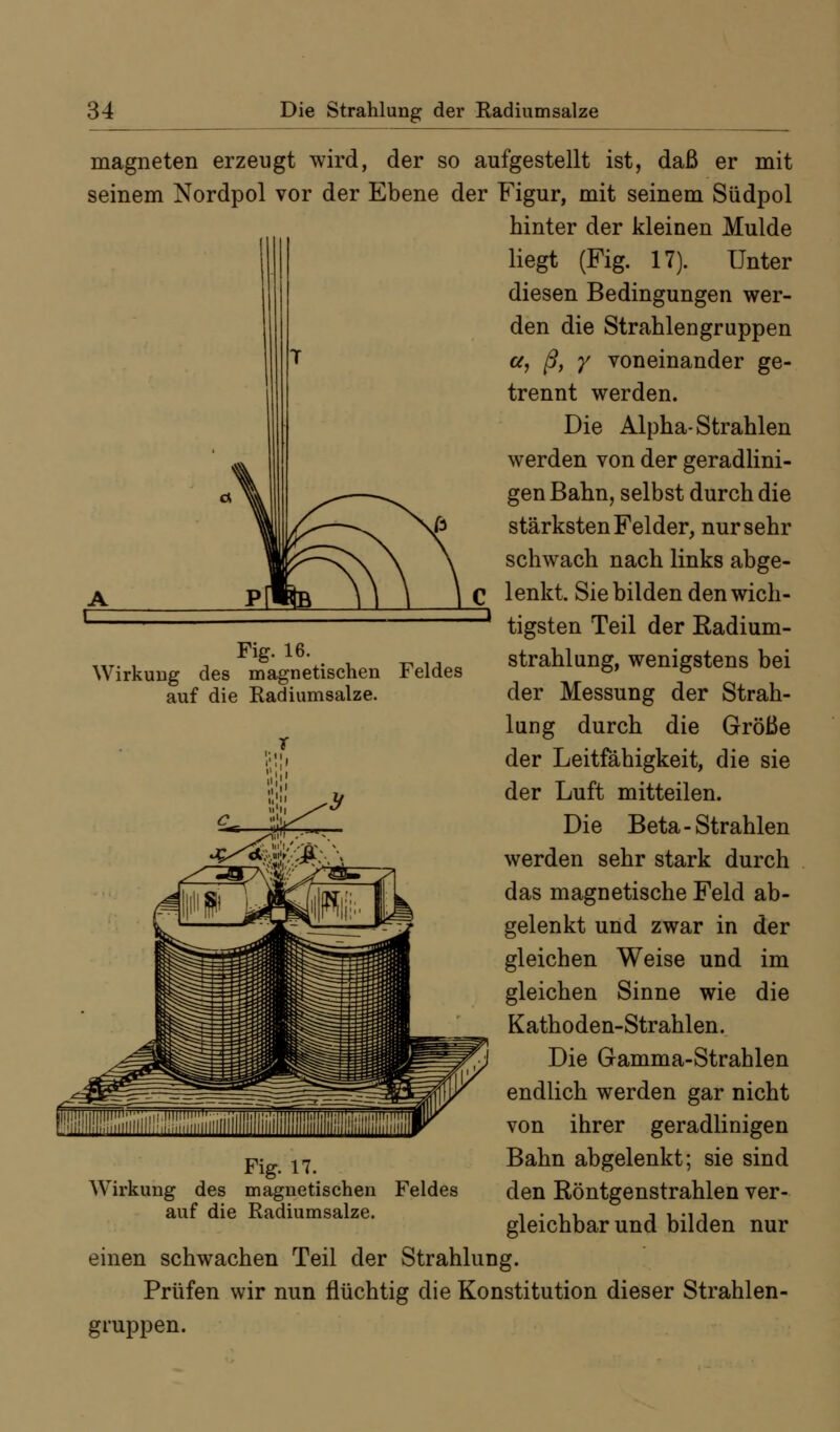 magneten erzeugt wird, der so aufgestellt ist, daß er mit seinem Nordpol vor der Ebene der Figur, mit seinem Südpol hinter der kleinen Mulde liegt (Fig. 17). Unter diesen Bedingungen wer- den die Strahlengruppen ci, ß, Y voneinander ge- trennt werden. Die Alpha-Strahlen werden von der geradlini- gen Bahn, selbst durch die stärksten Felder, nur sehr schwach nach links abge- lenkt. Sie bilden den wich- tigsten Teil der Kadium- strahlung, wenigstens bei der Messung der Strah- lung durch die Größe der Leitfähigkeit, die sie der Luft mitteilen. Die Beta-Strahlen werden sehr stark durch das magnetische Feld ab- gelenkt und zwar in der gleichen Weise und im gleichen Sinne wie die Kathoden-Strahlen. Die Gamma-Strahlen endlich werden gar nicht von ihrer geradlinigen Bahn abgelenkt; sie sind Feldes den Röntgenstrahlen ver- gleichbar und bilden nur Fig. 16. Wirkung des magnetischen Feldes auf die Radiumsalze. Fig. 17. Wirkung des magnetischen auf die Radiumsalze. einen schwachen Teil der Strahlung. Prüfen wir nun flüchtig die Konstitution dieser Strahlen- gruppen.