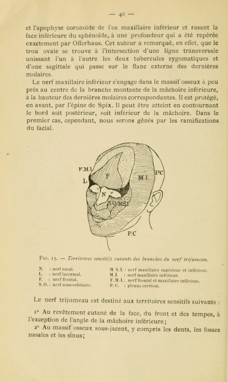— :|0 — et l'apophyse coronoïdc de l'os maxillaire inférieur et rasant la face inférieure du sphénoïde, à une profondeur qui a été repérée exactement par Ollerhaus. Cet auteur a remarqué, en cllet. que le trou ovale se trouve à l'intersection d'une ligne transversale unissant l'un à l'autre les deux tubercules zygomatiques et d'une sagittale qui passe sur le flanc externe des dernières molaires. Le nerf maxillaire inférieur s'engage dans le massif osseux à peu près au centre de la branche montante de la mâchoire inférieure, à la hauteur des dernières molaires correspondantes. Il est protégé, en avant, par l'épine de Spix. Il peut être atteint en contournant le bord soit postérieur, soit inférieur de la mâchoire. Dans le premier cas, cependant, nous serons gênés par les ramifications du facial. Fui. 13. — Territoires sensitifs cutanés des branches du nerf trijumeau. N. : nerf n.isal. M S.I. : luif maxillaire supérieur et inférieur. L. : nerf lacrymal. M.I. : nerf maxillaire inférieur. F. : nerf frontal. F. .M. 1.; nerf fnmial et maxillaire InféTieur. S. O. : nerf sous-orbitaire. p. C. : plexus oervieal. Le nerf trijumeau est destiné aux territoires sensitifs suivants : 1 Au revêtement cutané de la face, du front et des tempes, à l'exception de l'angle de la mâchoire inférieure; a» Au massif osseux sous-jacent, y compris les dents, les fosses nasales et les sinus;