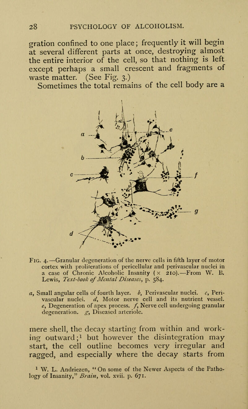 gration confined to one place; frequently it will begin at several different parts at once, destroying almost the entire interior of the cell, so that nothing is left except perhaps a small crescent and fragments of waste matter. (See Fig. 3.) Sometimes the total remains of the cell body are a <• *jLZjiLiL Fig. 4.—Granular degeneration of the nerve cells in fifth layer of motor cortex with proliferations of pericellular and perivascular nuclei in a case of Chronic Alcoholic Insanity ( x 210).—From \V. 13. Lewis, Text-book of 'Mental Diseases, p. 584. a, Small angular cells of fourth layer, b, Perivascular nuclei, c, Pen- vascular nuclei, d, Motor nerve cell and its nutrient vessel. £, Degeneration of apex process. /, Nerve cell undergoing granular degeneration. gt Diseased arteriole. mere shell, the decay starting from within and work- ing outward;1 but however the disintegration may start, the cell outline becomes very irregular and ragged, and especially where the decay starts from 1 W. L. Andriezen, On some of the Newer Aspects of the Patho-