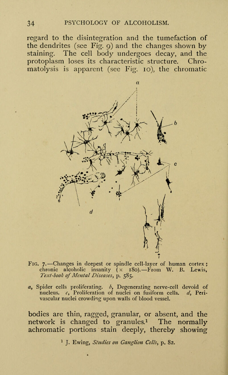 regard to the disintegration and the tumefaction of the dendrites (see Fig. 9) and the changes shown by staining. The cell body undergoes decay, and the protoplasm loses its characteristic structure. Chro- matolysis is apparent (see Fig. 10), the chromatic *&&&?? • Ay t -* •' ik'-' Fig. 7.—Changes in deepest or spindle cell-layer of human cortex ; chronic alcoholic insanity (x 180).—From W. B. Lewis, Text-book of Mental Diseases, p. 585. a, Spider cells proliferating, b, Degenerating nerve-cell devoid of nucleus, c, Proliferation of nuclei on fusiform cells, d, Peri- vascular nuclei crowding upon walls of blood vessel. bodies are thin, ragged, granular, or absent, and the network is changed to granules.1 The normally achromatic portions stain deeply, thereby showing 1 J. Ewing, Studies on Ganglion Cells, p. 82.