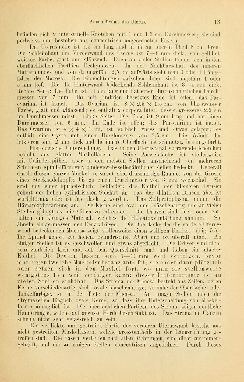 befinden sich 2 interstitielle Knötchen mit 1 und 1,5 ein Durchmesser; sie sind periweiss und bestehen ans concentrisch angeordneten Fasern. Die Uterushöhle ist 7,5 cm lang .und in ihrem oberen Theil 8 cm breit. Die Schleimhaut der Vorderwand des Uterus ist 7—8 mm dick. \<>n gelblich weisser Farbe, glatt und glänzend. Doch an vielen Stellen linden sich in den oberflächlichen Parthien Ecchymosen. In der Nachbarschaft des inneren Muttermundes und von da ungefähr 2,5 cm aufwärts sieht man 3 oder 4 Längs- falten der Mucosa. Die Einbuchtungen zwischen ihnen sind ungefähr 4 oder 5 mm tief. Die die Hinterwand bedeckende Schleimhaut ist 3—4 mm dick. Rechte Seite: Die Tube ist 11 cm lang und hat einen durchschnittlichen Durch- messer von 7 mm. Ihr mit Fimbrien besetztes Ende ist offen; das Par- ovarium ist intact. Das Ovarium ist 8 X 2,5 X 1,5 cm, von blassweisser Farbe, glatt und glänzend; es enthält 2 corpora lutea, dessen grösseres 2,5 cm im Durchmesser misst. Linke Seite: Die Tube ist 9 cm lang und hat einen Durchmesser von 6 mm. Ihr Ende ist offen; das Parovarium ist intact. Das Ovarium ist 4 X 4 X 1 cm, ist gelblich weiss und etwas gelappt; es enthält eine Cyste mit einem Durchmesser von 2,5 cm. Die Wände der letzteren sind 2 mm dick und die innere Oberfläche ist schmutzig braun gefärbt. Histologische Untersuchung. Das in den Uteruscanal vorragende Knötchen besteht aus glatten Muskelfasern. Seine Aussenfläche ist stellenweise mit Cylinderepithel, aber an den meisten Stellen anscheinend von mehreren Schichten spindelförmiger, bindegewebszellenähnlicher Zellen bedeckt. Ueberall durch diesen ganzen Muskel zerstreut sind drüsenartige Räume, von der Grösse eines Stecknadelkopfes bis zu einem Durchmesser von 3 mm wechselnd. Sie sind mit einer Epithelschicht bekleidet; das Epithel der kleineren Drüsen gehört der hohen cylindrischen Spielart an; das der dilatirten Drüsen aber ist würfelförmig oder ist fast flach geworden. Das Zellprotoplasma nimmt die Hämatoxylinfärbung an. Die Kerne sind oval und bläschenartig und an vielen Stellen gelingt es, die Cilien zu erkennen. Die Drüsen sind leer oder ent- halten ein körniges Material, welches die Hämatoxylinfärbung annimmt. Sie ähneln einigermassen den Cervixdrüsen. Die Oberfläche der die vordere Uterus- wand bedeckenden Mucosa zeigt stellenweise einen welligen Umriss. (Fig. 5A). Ihr Epithel gehört zur hohen, cylindrischen Abart und ist überall intact. An einigen Stellen ist es geschwollen und etwas abgeflacht. Die Drüsen sind nicht sehr zahlreich, klein und auf dem Querschnitt rund und haben ein intactes Epithel. Die Drüsen lassen sich 7—10 mm weit verfolgen, bevor man irgendwelche Muskelsubstanz antrifft; sie enden dann plötzlich oder setzen sich in den Muskel fort, wo man sie stellenweise wenigstens 1 cm weit verfolgen kann: dieser Tiefenfortsatz ist an vielen Stellen sichtbar. Das Stroma der Mucosa besteht aus Zellen, deren Kerne verschiedenartig sind: ovale bläschenartige, so nahe der Oberfläche, oder dunkelfarbige, so in der Tiefe der Mucosa. An einigen Stellen haben die Stromazellen länglich ovale Kerne, so dass ihre Unterscheidung von Muskel- fasern unmöglich ist. Die oberflächlichen Partieen des Stroma zeigen deutliche Hämorrhagie, welche auf gewisse Herde beschränkt ist. Das Stroma im Ganzen scheint nicht sehr gefässreich zu sein. Die verdickte und gestreifte Partie der vorderen Uteruswand besteht aus nicht gestreiften Muskelfasern, welche grösstenteils in der Längsrichtung ge- troffen sind. Die Fasern verlaufen nach allen Richtungen, sind dicht zusammen- gehäuft, und nur an einigen Stellen concentrisch angeordnet. Durch dieses