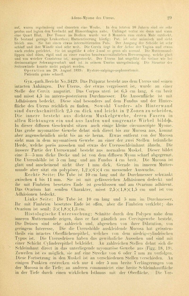 auf, waren regelmässig und dauerten eine Woche. In den letzten 10 Jahren sind sie sehr profus und legten den Verdacht auf Eämorrhagien nahe. Unlängst verlor sie dann und wanD eine Quart Blut. Der Tumor im Becken wurde vor 3 Monaten zum ersten Male entdeckt. Es bestand geringe Leukorrhoe; Harnentleerung liäulig: Pal. isl. sehr anämisch und sieht bleich aus. Sic hat einen etwas intermittirenden Puls. Der Ausgang der Scheide ist sehr schlaff und ihre Wände sind sehr weit. Die Cervix liegt in der Achse der Vagina und etwas nach rechts gerichtet. Sic ist ungefähr 4 oder 5 mal so gross als normal. Die Muttermund- lippen sind dünn, rigid und zu einer runden brustwarzenähnlichen Hervorragung. welehe gl;iii und von weicher Consistenz ist, ausgestreckt. Der Uterus hat ungefähr die Grösse wie bei dreimonatiger Schwangerschaft und ist in seinem Umriss unregelmässig. Die Structur der Seitenwände konnte nicht palpirt werden. Operation am 28. August 1899: Hystero-salpingo-oophorcctomie. Patientin genas schnell. Gyn.-path. Bericht No.3429. Das Präparat besteht aus dem Uterus und seinen intacten Anhängen. Der Uterus, der etwas vergrössert ist, wurde an einer Stelle der Cervix amputirt. Das Corpus uteri ist 6,5 cm lang, 6 cm brerl und misst 4,5 im antero-posterioren Durchmesser. Die Aussenfläche ist mii Adhäsionen bedeckt. Diese sind besonders auf dem Fundus und der Hinter- fläche des Uterus reichlich zu finden. Sowohl Vorder- als Hinter wand sind durchschnittlich 2,5 cm dick und leicht in 2 Zonen zu scheiden. Die innere besteht aus dichtem Muskelgewebe, deren Fasern in allen Richtungen ein und aus laufen und umgrenzte Wirbel bildejn. In dieser diffusen Geschwulst sitzen auch einige kleine circumscripte Myome. Das grobe myomatöse Gewebe dehnt sich direct bis zur Mucosa aus, kommt aber augenscheinlich nicht bis an sie heran. Etwas entfernt von der Mucosa sieht man in dem myomatösen Gewebe an einer der zwei Stellen bräunliche Herde, welche porös aussehen und etwas der Uterusschleimhaut ähneln. Die äussere Partie der Uteruswand besteht aus normalem Muskel. Dieser bildet eine 3—5 mm dicke Decke und ist von dem diffusen Myom scharf abgegrenzt. Die Uterushöhle ist 5 cm lang und am Fundus 4 cm breit. Die Mucosa ist glatt und anscheinend nicht über 1 mm dick. Gerade im inneren Mutter- munde aber sitzt ein polypöser, 1,2x6x4 cm messender Auswuchs. Rechte Seite: Die Tube ist 10 cm lang und ihr Durchmesser schwankt zwischen 4 bis 11 mm. Sie ist mit gefausreichen Adhäsionen dedeckt und ihr mit Fimbrien besetztes Ende ist geschlossen und am Ovarium adhärenr. Das Ovarium hat senilen Charakter, misst 2,5x1,8x1,5 cm und ist von Adhäsionen bedeckt. Linke Seite: Die Tube ist 10 cm lang und 5 mm im Durchmesser. Ihr mit Fimbrien besetztes Ende ist offen, aber die Fimbrien verklebt; das Ovarium ist senil; 3 X 1,8 X 1,3 cm. Histologische Untersuchung: Schnitte durch den Polypen nahe dem inneren Muttermunde zeigen, dass er fast gänzlich aus Cervixgewebe besteht, Die Drüsen sind sehr zahlreich und, abgesehen von ihrer Dilatation, von geringem Interesse, Die die Uterushöhle auskleidende Mucosa hat grössten- teils ein intactes Oberflächenepithel, welches von dem niedrig-cylinclrischen Typus ist. Die Uterusdrüsen haben das gewöhnliche Aussehen und sind mit einer Schicht Cylinderepithel bekleidet. An zahlreichen Stellen dehnt sich die Schleimhaut direct in etas unterliegende myomatöse Gewebe ans (Figg. 18, 19). Zuweilen ist es möglich, sie auf eine Strecke von 6 oder 7 mm zu verfolgen. Diese Fortsetzung in den Muskel ist an verschiedenen Stellen verschieden. An einigen Punkten erstrecken sich nur 4 oder 5 mm breite Verlängerungen von der Mucosa in die Tiefe; an anderen communicirt eine breite Schleimhautfläche in der Tiefe durch einen wirklichen Isthmus mit der Oberfläche. Die Ver-
