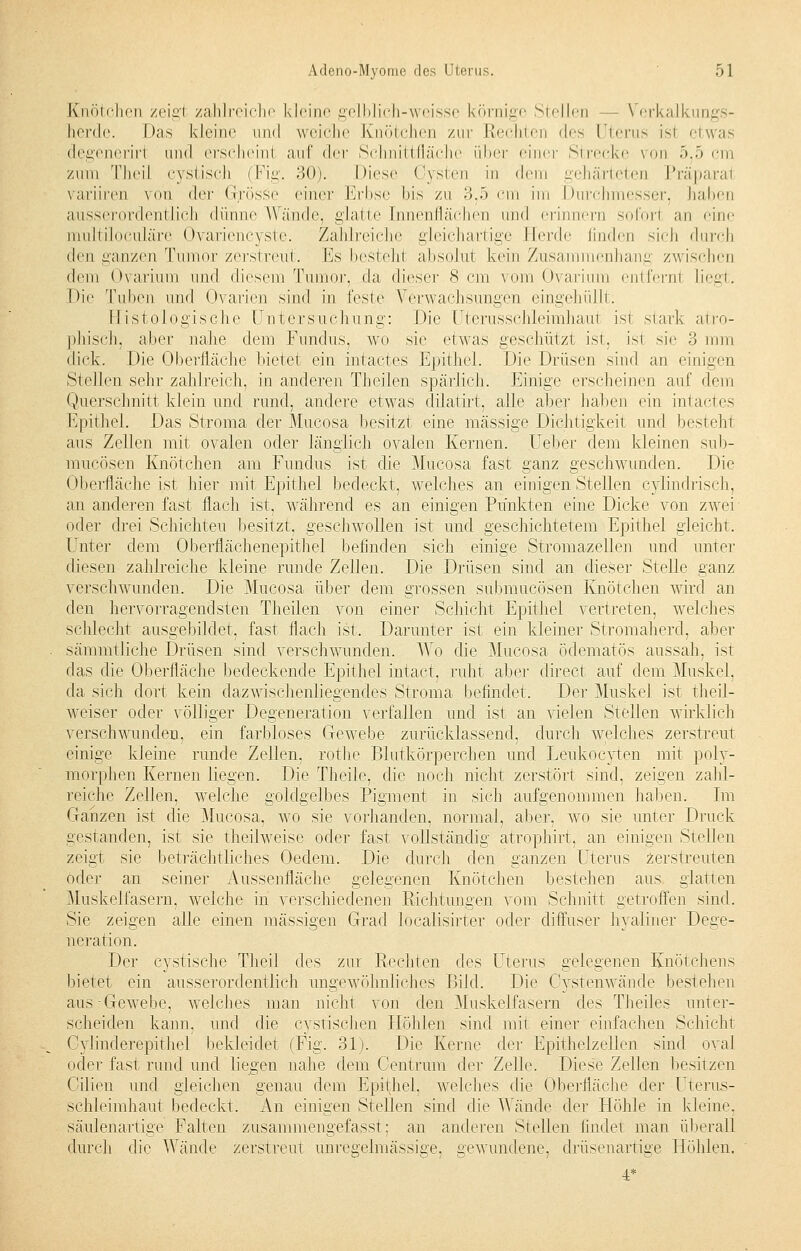 Knötchen zeig! zahlreiche kleine gelblich-weisse körnige Stellen - Verkalkungs- herde. Das kleine und weiche Knötchen zur Rechten des Uterus isi etwas degenerhi und erscheinl auf der Schnittfläche über einer Strecke von 5,5 cm zum Theil cystisch (Fig. 30). Diese Cysten in dem gehärteten Präparal variiren von der Grösse einer Erbse bis zu 3,5 cm im Durchmesser, haben ausserordentlich dünne Wände, glatte Innenflächen und erinnern soforl an eine multiloculäre Ovariencyste. Zahlreiche gleichartige Herde linden sich durch den ganzen Tumor zerstreut. Es besteh! absolut kein Zusammenhang zwischen dem Ovarium und diesem Tumor, da dieser 8 cm vom Ovarium entfernt liegt. Die Tuben und Ovarien sind in feste Verwachsungen eingehüllt: Histologische Untersuchung: Die Uterusschleimhaut ist stark atro- phisch, aber nahe dem Fundus, wo sie etwas geschützt ist, isi sie 3 min dick. Die Oberfläche bietet ein intactes Epithel. Die Drüsen sind an einigen Stellen sehr zahlreich, in anderen Theilen spärlich. Einige erscheinen auf dem Querschnitt klein und rund, andere etwas dilatirt, alle aber haben ein intactes Epithel. Das Stroma der Mucosa besitzt eine massige Dichtigkeit und besteht aus Zellen mit ovalen oder länglich ovalen Kernen. Heber dem kleinen sub- mueösen Knötchen am Fundus ist die Mucosa fast ganz geschwunden. Die Oberfläche ist hier mit Epithel bedeckt, welches an einigen Stellen cylindrisch, an anderen fast flach ist. während es an einigen Punkten eine Dicke von zwei oder drei Schichten besitzt, geschwollen ist und geschichtetem Epithel gleicht. Unter dem Oberflächenepithel befinden sich einige Stromazellen und unter diesen zahlreiche kleine runde Zellen. Die Drüsen sind an dieser Stelle ganz verschwunden. Die Mucosa über dem grossen submueösen Knötchen wird an den hervorragendsten Theilen von einer Schicht Epithel vertreten, welches schlecht ausgebildet, fast flach ist. Darunter ist ein kleiner Stromaherd, aber sämmtliche Drüsen sind verschwunden. Wo die Mucosa ödematös aussah, ist das die Oberfläche bedeckende Epithel intact, ruht aber direct auf dem Muskel, da sich dort kein dazwischenliegendes Stroma befindet. Der Muskel ist theil- weiser oder völliger Degeneration verfallen und ist an vielen Stellen wirklich verschwunden, ein farbloses Gewebe zurücklassend, durch welches zerstreut einige kleine runde Zellen, rothe Blutkörperchen und Leukocyten mit poly- morphen Kernen liegen. Die Theile, die noch nicht zerstört sind, zeigen zahl- reiche Zellen, welche goldgelbes Pigment in sich aufgenommen haben. Im Ganzen ist die Mucosa, wo sie vorhanden, normal, aber, wo sie unter Druck gestanden, ist sie theilweise oder fast vollständig atrophirt, an einigen Stellen zeigt sie beträchtliches Oedem. Die durch den ganzen Uterus zerstreuten oder an seiner Aussenfläche gelegenen Knötchen bestehen aus glatten Muskelfasern, welche in verschiedenen Richtungen vom Schnitt getroffen sind. Sie zeigen alle einen massigen Grad localisirter oder diffuser hyaliner Dege- neration. Der cystische Theil des zur Rechten des Uterus gelegenen Knötchens bietet ein ausserordentlich ungewöhnliches Bild. Die Cystenwände bestehen aus Gewebe, welches man nicht von den Muskelfasern des Theiles unter- scheiden kann, und die cystischen Höhlen sind mit einer einfachen Schicht Cylinderepithel bekleidet (Fig. 31). Die Kerne der Epithelzellen sind oval oder fast rund und liegen nahe dem Oentrum der Zelle. Diese Zellen besitzen Cilien und gleichen genau dem Epithel, welches die Oberfläche der Uterus- schleimhaut bedeckt. An einigen Stellen sind die Wände der Höhle in kleine, säulenartige Falten zusammengefasst; an anderen Stellen findet man überall durch die Wände zerstreut unregelmässige, gewundene, drüsenartige Höhlen.