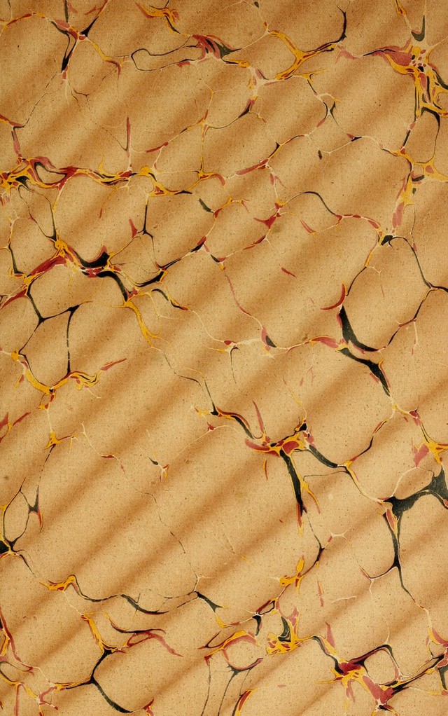 No text description is available for this image