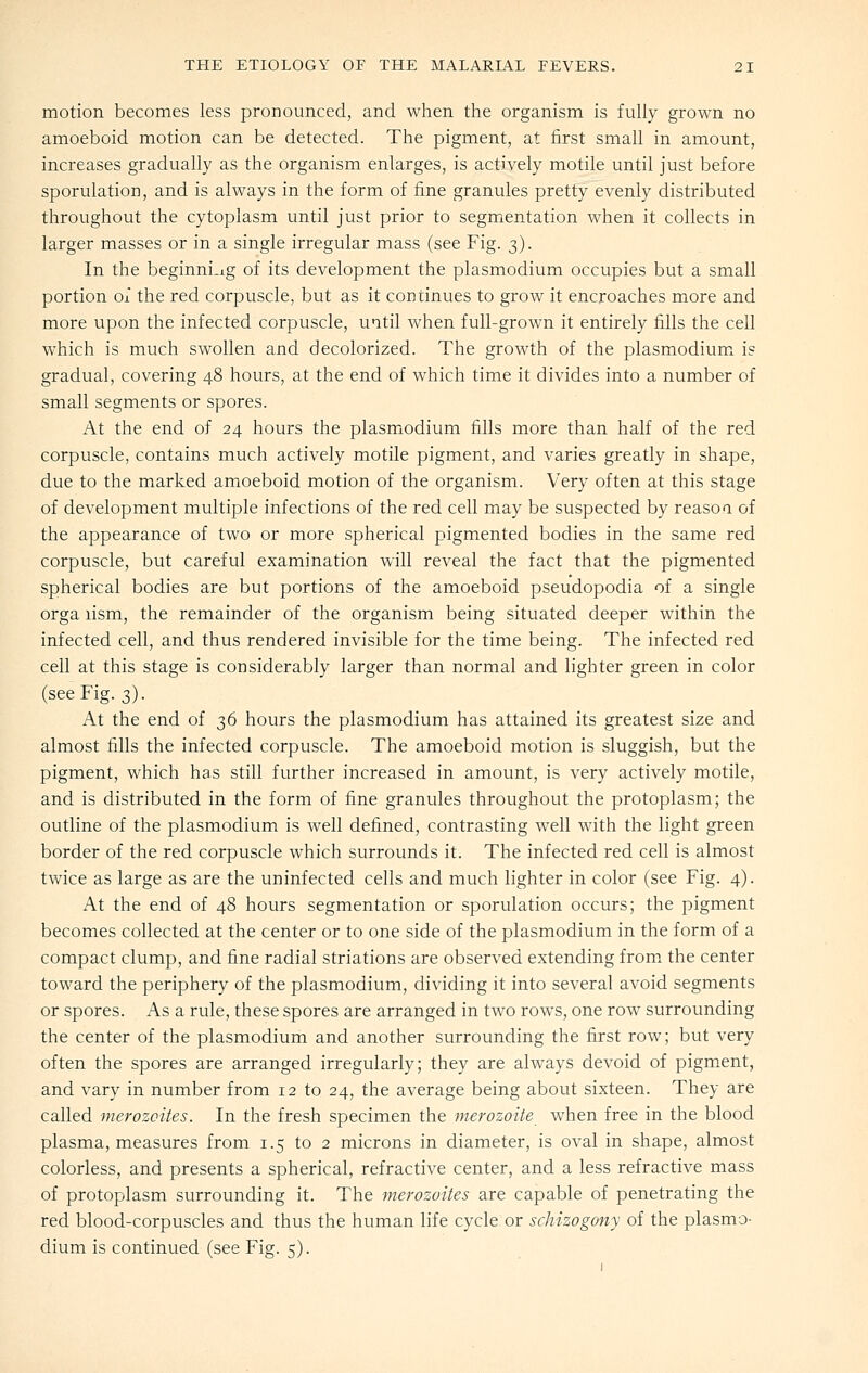 motion becomes less pronounced, and when the organism is fully grown no amoeboid motion can be detected. The pigment, at first small in amount, increases gradually as the organism enlarges, is actively motile until just before sporulation, and is always in the form of fine granules pretty evenly distributed throughout the cytoplasm until just prior to segmentation when it collects in larger masses or in a single irregular mass (see Fig. 3). In the beginni.ig of its development the plasmodium occupies but a small portion of the red corpuscle, but as it continues to grow it encroaches more and more upon the infected corpuscle, until when full-grown it entirely fills the cell which is much swollen and decolorized. The growth of the plasmodium^ is gradual, covering 48 hours, at the end of which time it divides into a number of small segments or spores. At the end of 24 hours the plasmodium fills more than half of the red corpuscle, contains much actively motile pigment, and varies greatly in shape, due to the marked amioeboid motion of the organism. Very often at this stage of development multiple infections of the red cell may be suspected by reason of the appearance of two or more spherical pigmented bodies in the same red corpuscle, but careful examination will reveal the fact that the pigmented spherical bodies are but portions of the amoeboid pseudopodia of a single orga lism, the remainder of the organism being situated deeper within the infected cell, and thus rendered invisible for the time being. The infected red cell at this stage is considerably larger than normal and lighter green in color (see Fig. 3). At the end of 36 hours the plasmodium has attained its greatest size and almost fills the infected corpuscle. The amoeboid motion is sluggish, but the pigment, which has still further increased in amount, is very actively motile, and is distributed in the form of fine granules throughout the protoplasm; the outline of the plasmodium is well defined, contrasting well with the light green border of the red corpuscle which surrounds it. The infected red cell is almost twice as large as are the uninfected cells and much lighter in color (see Fig. 4). At the end of 48 hours segmentation or sporulation occurs; the pigment becomes collected at the center or to one side of the plasmodium in the form of a compact clump, and fine radial striations are observed extending from the center toward the periphery of the plasmodium, dividing it into several avoid segments or spores. As a rule, these spores are arranged in two rows, one row surrounding the center of the plasmodium and another surrounding the first row; but very often the spores are arranged irregularly; they are always devoid of pigment, and vary in number from 12 to 24, the average being about sixteen. They are called merozcites. In the fresh specimen the merozoite when free in the blood plasma, measures from 1.5 to 2 microns in diameter, is oval in shape, almost colorless, and presents a spherical, refractive center, and a less refractive mass of protoplasm surrounding it. The merozoites are capable of penetrating the red blood-corpuscles and thus the human life cycle or schizogony of the plasmo- dium is continued (see Fig. 5).