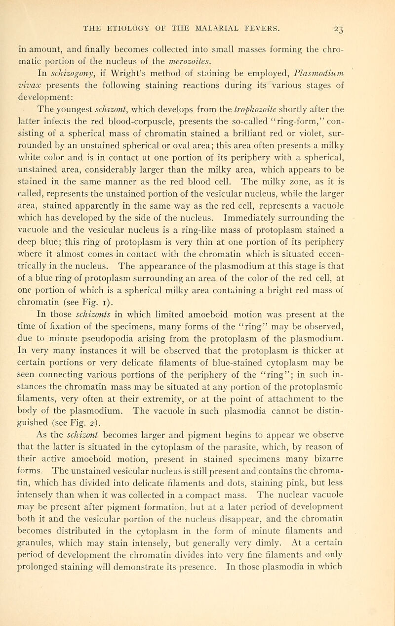 in amount, and finally becomes collected into small masses forming the chro- matic portion of the nucleus of the merozoites. In schizogony, if Wright's method of staining be employed, Plasmodium vivax presents the following staining reactions during its various stages of development: The youngest schizont, which develops from the trophozoite shortly after the latter infects the red blood-corpuscle, presents the so-called ring-form, con- sisting of a spherical mass of chromatin stained a brilliant red or violet, sur- rounded by an unstained spherical or oval area; this area often presents a milky white color and is in contact at one portion of its periphery with a spherical, unstained area, considerably larger than the milky area, which appears to be stained in the same manner as the red blood cell. The milky zone, as it is called, represents the unstained portion of the vesicular nucleus, while the larger area, stained apparently in the same way as the red cell, represents a vacuole which has developed by the side of the nucleus. Immediately surrounding the vacuole and the vesicular nucleus is a ring-like mass of protoplasm stained a deep blue; this ring of protoplasm is very thin at one portion of its periphery where it almost comes in contact with the chromatin which is situated eccen- trically in the nucleus. The appearance of the plasmodium at this stage is that of a blue ring of protoplasm surrounding an area of the color of the red cell, at one portion of which is a spherical milky area containing a bright red mass of chromatin (see Fig. i). In those schizonts in which limited amoeboid motion was present at the time of fixation of the specimens, many forms of the ring may be observed, due to minute pseudopodia arising from the protoplasm of the plasmodium. In very many instances it will be observed that the protoplasm is thicker at certain portions or very dehcate filaments' of blue-stained cytoplasm may be seen connecting various portions of the periphery of the ring; in such in- stances the chromatin mass may be situated at any portion of the protoplasmic filaments, very often at their extremity, or at the point of attachment to the body of the plasmodium. The vacuole in such plasmodia cannot be distin- guished (see Fig. 2). As the schizont becomes larger and pigment begins to appear we observe that the latter is situated in the cytoplasm of the parasite, which, by reason of their active amoeboid motion, present in stained specimens many bizarre forms. The unstained vesicular nucleus is still present and contains the chroma- tin, which has divided into dehcate filaments and dots, staining pink, but less intensely than when it was collected in a compact mass. The nuclear vacuole may be present after pigment formation, but at a later period of development both it and the vesicular portion of the nucleus disappear, and the chromatin becomes distributed in the cytoplasm in the form of minute filaments and granules, which may stain intensely, but generally very dimly. At a certain period of development the chromatin divides into very fine filaments and only prolonged staining will demonstrate its presence. In those plasmodia in which