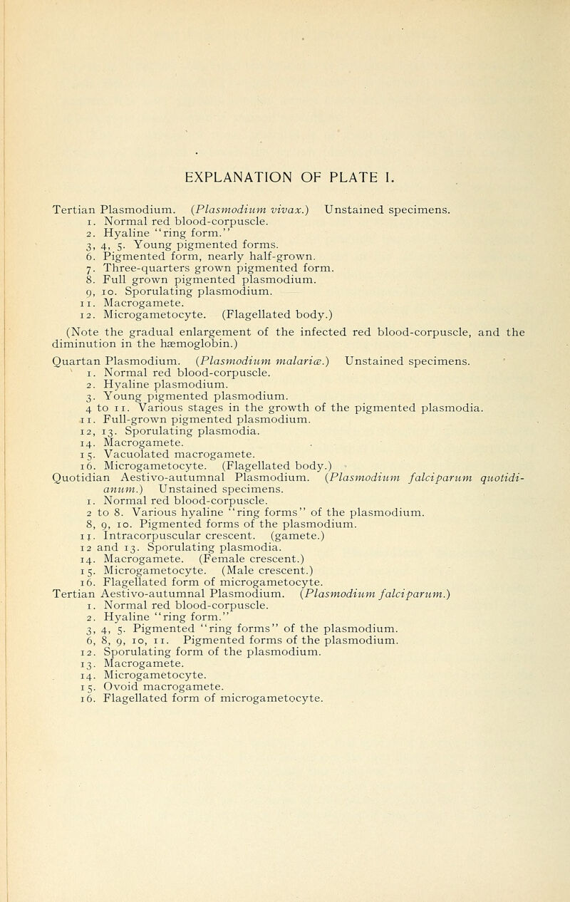 EXPLANATION OF PLATE L Tertian Plasmodium. (Plasmodium vivax.) Unstained specimens. 1. Normal red blood-corpuscle. 2. Hyaline ring form. 3. 4, 5. Young pigmented forms. 6. Pigmented form, nearly half-grown. 7. Three-quarters grown pigmented form. 8. Full grown pigmented Plasmodium. 9. 10. Sporulating Plasmodium. 11. Macrogamete. 12. Microgametocyte. (Flagellated body.) (Note the gradual enlargement of the infected red blood-corpuscle, and the diminution in the haemoglobin.) Quartan Plasmodium. (Plasmodium. m.alaricB.) Unstained specimens. 1. Normal red blood-corpuscle. 2. Hyaline plasmodium. 3. Young pigmented plasmodium. 4 to II. Various stages in the growth of the pigmented plasmodia. 11. Full-grown pigmented plasmodium. 12, 13. Sporulating plasmodia. 14. Macrogamete. I 5. Vacuolated macrogamete. 16. Microgametocyte. (Flagellated body.) Quotidian Aestivo-autumnal Plasmodium. (Plasinodium falciparum, qviotidi- anwm.) Unstained specimens. I. Normal red blood-corpuscle. 2 to 8. Various hyaline ring forms of the plasmodium. 8, 9, 10. Pigmented forms of the plasmodium. I J. Intracorpuscular crescent. (gamete.) 12 and 13. Sporulating plasmodia. 14. Macrogamete. (Female crescent.) I 5. Microgametocyte. (Male crescent.) 16. Flagellated form of microgametocyte. Tertian Aestivo-autumnal Plasmodium. (Plasm-odium falciparum..) 1. Normal red blood-corpuscle. 2. Hyaline ring form. 3,4, 5. Pigmented ring forms of the plasmodium. 6, 8, 9, 10, II. Pigmented forms of the Plasmodium. Sporulating form of the plasmodium. Lacrogamete. Microgametocyte. Ovoid macrogamete. Flagellated form of microgametocyte