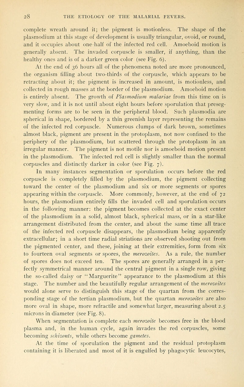 complete wreath around it; the pigment is motionless. The shape of the Plasmodium at this stage of development is usually triangular, ovoid, or round, and it occupies about one-half of the infected red cell. Amoeboid motion is generally absent. The invaded corpuscle is smaller, if anything, than the healthy ones and is of a darker green color (see Fig. 6). At the end of 36 hours all of the phenomena noted are more pronounced, the organism filling about two-thirds of the' corpuscle, which appears to be retracting about it; the pigment is increased in amount, is motionless, and collected in rough masses at the border of the plasmodium. Amoeboid motion is entirely absent. The growth of Plasmodium malariae from this time on is very slow, and it is not until about eight hours before sporulation that preseg- menting forms are to be seen in the peripheral blood. Such plasmodia are spherical in shape, bordered by a thin greenish layer representing the remains of the infected red corpuscle. Numerous clumps of dark brown, sometimes almost black, pigment are present in the protoplasm, not now confined to the periphery of the plasmodium, but scattered through the protoplasm in an irregular manner. The pigment is not motile nor is amoeboid motion present in the plasmodium. The infected red cell is slightly smaller than the normal corpuscles and distinctly darker in color (see Fig. 7). In many instances segmentation or sporulation occurs before the red corpuscle is completely filled by the plasmodium, the pigment collecting toward the center of the plasmodium and six or more segments or spores appearing within the corpuscle. More commonly, however, at the end of 72 hours, the plasmodium entirely fills the invaded cell and sporulation occurs in the following manner: the pigment becomes collected at the exact center of the Plasmodium in a solid, almost black, spherical mass, or in a star-like arrangement distributed from the center, and about the same time all trace of the infected red corpuscle disappears, the plasmodium being apparently extracellular; in a short time radial striations are observed shooting out from the pigmented center, and these, joining at their extremities, form from six to fourteen oval segments or spores, the merozoites. As a rule, the number of spores does not exceed ten. The spores are generally arranged in a per- fectly symmetrical manner around the central pigment in a single row, giving the so-called daisy or Marguerite appearance to the plasmodium at this stage. The number and the beautifully regular arrangement of the merozoites would alone serve to distinguish this stage of the quartan from the corres- ponding stage of the tertian plasmodium, but the quartan merozoites are also more oval in shape, more refractile and somewhat larger, measuring about 2.5 microns in diameter (see Fig. 8). When segmentation is complete each merozoite becomes free in the blood plasma and, in the human cycle, again invades the red corpuscles, some becoming sckizonts, while others become gametes. At the time of sporulation the pigment and the residual protoplasm containing it is liberated and most of it is engulfed by phagocytic leucocytes,