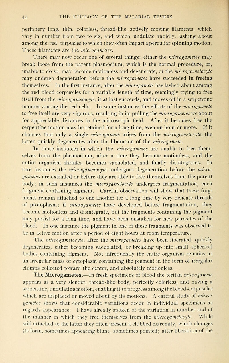 periphery long, thin, colorless, thread-like, actively moving filaments, which vary in number from two to six, and which undulate rapidly, lashing about among the red corpusles to which they often impart a perculiar spinning motion. These filaments are the micro gametes. There may now occur one of several things: either the microgametes may break loose from the parent plasmodium, which is the normal procedure, or, unable to do so, may become motionless and degenerate, or the microgametocyte may undergo degeneration before the microgametes have succeeded in freeing themselves. In the first instance, after the microgamete has lashed about among the red blood-corpuscles for a variable length of time, seemingly trying to free itself from the micro gametocyte, it at last succeeds, and moves off in a serpentine manner among the red cells. In some instances the efforts of the mJcrogamete to free itself are very vigorous, resulting in its pulling the micro gametocyte about for appreciable distances in the microscopic field. After it becomes free the serpentine motion may be retained for a long time, even an hour or more. If it chances that only a single microgamete arises from the micro gametocyte, the latter quickly degenerates after the liberation of the microgamete. In those instances in which the microgametes are unable to free them- selves from the plasmodium, after a time they become motionless, and the entire organism shrinks, becomes vacuolated, and finally disintegrates. In rare instances the micro gametocyte undergoes degeneration before the micro- gametes are extruded or before they are able to free themselves from the parent body; in such instances the micro gametocyte undergoes fragmentation, each fragment containing pigment. Careful observation will show that these frag- ments remain attached to one another for a long time by very delicate threads of protoplasm; if microgametes have developed before fragmentation, they become motionless and disintegrate, but the fragments containing the pigment may persist for a long time, and have been mistaken for new parasites of the blood. In one instance the pigment in one of these fragments was observed to be in active motion after a period of eight hours at room temperature. The micro gametocyte, after the microgametes have been liberated, quickly degenerates, either becoming vacuolated, or breaking up into small spherical bodies containing pigment. Not infrequently the entire organism remains as an irregular mass of cytoplasm containing the pigment in the form of irregular clumps collected toward the center, and absolutely motionless. The Microgametes.—In fresh specimens of blood the tertian microgamete appears as a very slender, thread-like body, perfectly colorless, and having a serpentine, undulating motion, enabling it to progress among the blood-corpuscles which are displaced or moved about by its motions. A careful study of micro- gametes shows that considerable variations occur in individual specimens as regards appearance. I have already spoken of the variation in number and of the manner in which they free themselves from the microgametocyte. While still attached to the latter they often present a clubbed extremity, which changes its form, sometimes appearing blunt, sometimes pointed; after liberation of the