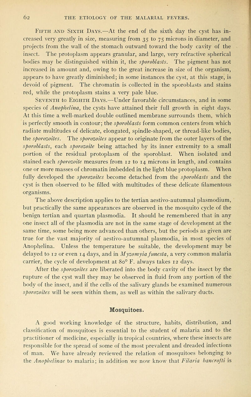 Fifth and Sixth Days.—At the end of the sixth day the cyst has in- creased very greatly in size, measuring from 35 to 75 microns in diameter, and projects from the wall of the stomach outward toward the body cavity of the insect. The protoplasm appears granular, and large, very refractive spherical bodies may be distinguished within it, the sporoblasts. The pigment has not increased in amount and, owing to the great increase in size of the organism, appears to have greatly diminished; in some instances the cyst, at this stage, is devoid of pigment. The chromatin is collected in the sporoblasts and stains red, while the protoplasm stains a very pale blue. Seventh to Eighth Days.—Under favorable circumstances, and in some species of Anophelina, the cysts have attained their full growth in eight days. At this time a well-marked double outlined membrane surrounds them, which is perfectly smooth in contour; the sporoblasts form common centers from which radiate multitudes of delicate, elongated, spindle-shaped, or thread-like bodies, the sporozoites. The sporozoites appear to originate from the outer layers of the sporoblasts, each sporozoite being attached by its inner extremity to a small portion of the residual protoplasm of the sporoblast. When isolated and stained each sporozoite measures from 12 to 14 microns in length, and contains one or more masses of chromatin imbedded in the light blue protoplasm. When fully developed the sporozoites become detached from the sporoblasts and the cyst is then observed to be filled with multitudes of these delicate filamentous organisms. The above description applies to the tertian aestivo-autumnal plasmodium, but practically the same appearances are observed in the mosquito cycle of the benign tertian and quartan plasmodia. It should be remembered that in any one insect all of the plasmodia are not in the same stage of development at the same time, some being more advanced than others, but the periods as given are true for the vast majority of aestivo-autumnal plasmodia, in most species of Anophelina. Unless the temperature be suitable, the development may be delayed to 12 or even 14 days, and in Myzomyia funesta, a very common malaria carrier, the cycle of development at 80° F. always takes 12 days. After the sporozoites are liberated into the body cavity of the insect by the rupture of the cyst wall they may be observed in fluid from any portion of the body of the insect, and if the cells of the salivary glands be examined numerous sporozoites will be seen within them, as well as within the salivary ducts. Mosquitoes. A good working knowledge of the structure, habits, distribution, and classification of mosquitoes is essential to the student of malaria and to the practitioner of medicine, especially in tropical countries, where these insects are responsible for the spread of some of the most prevalent and dreaded infections of man. We have already reviewed the relation of mosquitoes belonging to the Anophelinae to malaria; in addition we now know that Filaria bancrofti is