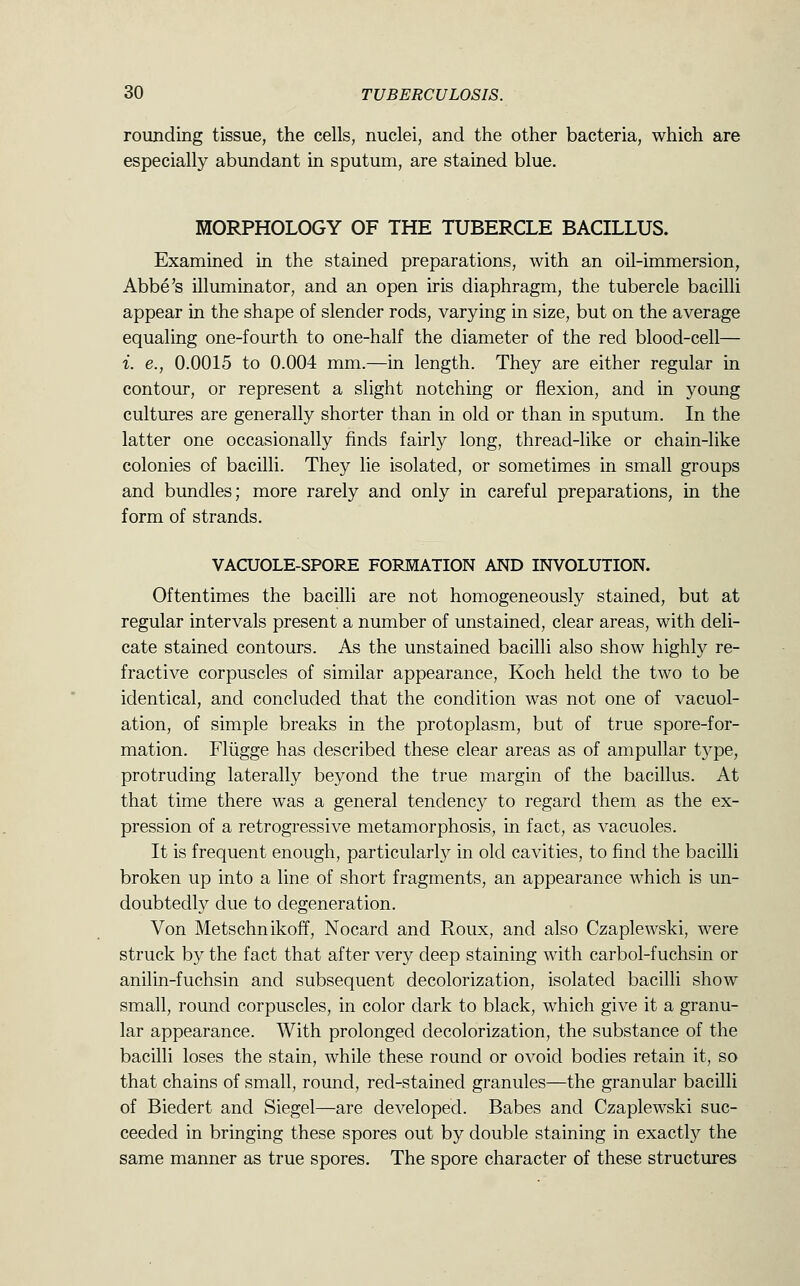 rounding tissue, the cells, nuclei, and the other bacteria, which are especially abundant in sputum, are stained blue. MORPHOLOGY OF THE TUBERCLE BACILLUS. Examined in the stained preparations, with an oil-immersion, Abbe's illuminator, and an open iris diaphragm, the tubercle bacilli appear in the shape of slender rods, varying in size, but on the average equaling one-fourth to one-half the diameter of the red blood-cell— i. e., 0.0015 to 0.004 mm.—in length. They are either regular in contour, or represent a slight notching or flexion, and in young cultures are generally shorter than in old or than in sputum. In the latter one occasionally finds fairly long, thread-like or chain-like colonies of bacilli. They lie isolated, or sometimes in small groups and bundles; more rarely and only in careful preparations, in the form of strands. VACUOLE-SPORE FORMATION AND INVOLUTION. Oftentimes the bacilli are not homogeneously stained, but at regular intervals present a number of unstained, clear areas, with deli- cate stained contours. As the unstained bacilli also show highly re- fractive corpuscles of similar appearance, Koch held the two to be identical, and concluded that the condition was not one of vacuol- ation, of simple breaks in the protoplasm, but of true spore-for- mation. Fliigge has described these clear areas as of ampullar type, protruding laterally beyond the true margin of the bacillus. At that time there was a general tendency to regard them as the ex- pression of a retrogressive metamorphosis, in fact, as vacuoles. It is frequent enough, particularly in old cavities, to find the bacilli broken up into a line of short fragments, an appearance which is un- doubtedly due to degeneration. Von Metschnikoff, Nocard and Roux, and also Czaplewski, were struck by the fact that after very deep staining with carbol-fuchsin or anilin-fuchsin and subsequent decolorization, isolated bacilli show small, round corpuscles, in color dark to black, which give it a granu- lar appearance. With prolonged decolorization, the substance of the bacilli loses the stain, while these round or ovoid bodies retain it, so that chains of small, round, red-stained granules—the granular bacilli of Biedert and Siegel—are developed. Babes and Czaplewski suc- ceeded in bringing these spores out by double staining in exactly the same manner as true spores. The spore character of these structures