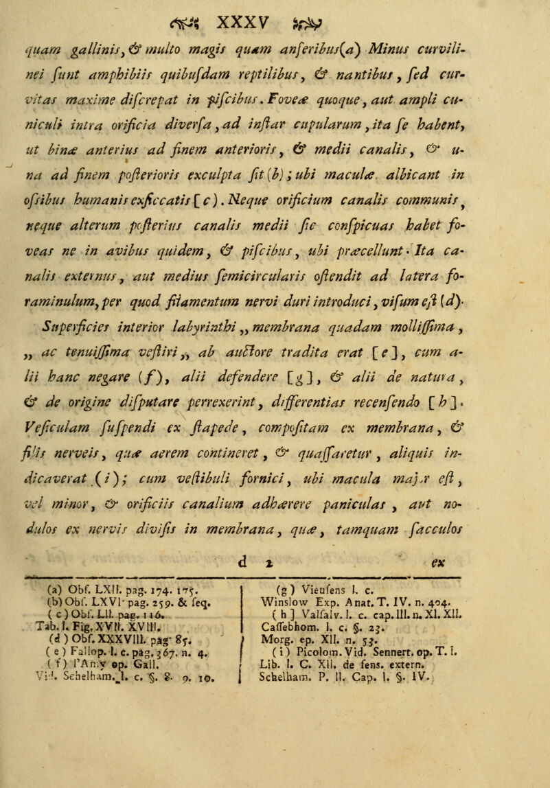 quaw gallinisy & multo magis quam anferibus{a) Minus curvili- nei funt amphibiis quibufdam reptilibus, & nantibus, fed cuv- vitas maxime difcrepat in pfcibus. Fove<#. quoque, aut ampli cu- niculi intra orificia diverfa , ad inftar cupularum , ita fe babcnt-, ut bin<e anterius ad finem anterioris, & medii canalis, & u- na ad finem pofterioris exculpta fit (b); ubi macula. albicant in ofsibus humanis exficcatis [ c). Neque orificium canalis communis , xeque alterum pcfterius canalis medii fic confpicuas habet fo- veas ne in avibus quidem, & pifcibus, ubi pr<ecellunt • Ita ca- nalis extemus, aut rnedius femicircularis oftendit ad latera fo- raminu/umy per quod fiiamentum nervi duri introduci, vifum eft [d)- Superficies interior labyrinthi „ membrana quadam mollijfima , „ ac tenuijfima veftiri „ ab auclore tradita erat [?}, cum a- lii hanc negare (f), alii defendere [g], & alii de natura, & de origine difputare perrexerint, differentias recenfendo [b], Veficulam fufpendi ex ftapede, compofitam ex membrana, & filis nerveis, qu<# aerem contineret, & quajfaretur, aliquis in- dicaverat .(')> cum veRibuli fornici, //£/ macula mafr eft, iv/ minor, c^ orificiis canalium adhoerere paniculas , <£/<£ »o- *fo/o/ £x nervis divifis in membrana, ^7//^, tamquam facculos d % ex (a) Obf. LXtt. pag. 174. 175. (b)Obf. LXVl-pag. 259. & feq. ( c)Obf. Lll. pac. 116. Tab.t. Fig.XVN. XVtll. (g) Vieufens L 0 Winslovv Exp. Anat. T. IV. n. 404. (h] Valfalv.I. c. cap. 111. n. XI. XII, Caflebhom. i. c. §. 2j. («1 ) Obf.XXXVlll. pag' 8*. / Morg. ep. XII. n. 5?. ( e) Failop. 1. c. pag. 767. n. 4. (i) Picotom. Vid. Sennert. op. T. i ( t) 1'An.y 0p. Gall. Lib. I. C. Xli. de fens. extern. . H. Sefaelham. I. c. §. 8- o. 10. 1 Scnelham. P. It. Cap. 1. §. IV.