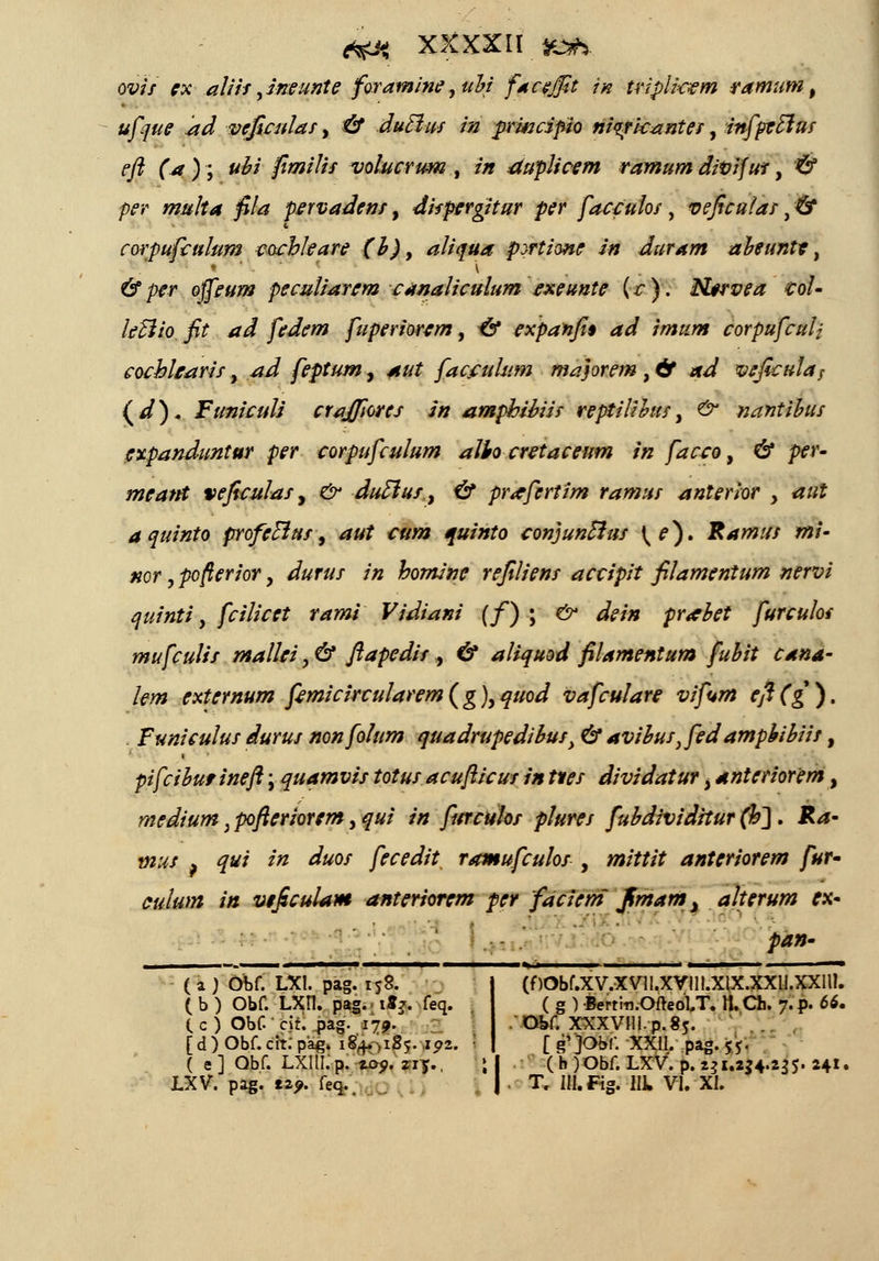 ovis fX' atiit yineunte foramineyubi facejfit in tripti&em ramum , ufque Jid vcficulas, & dutlus in prmcipio niirkantes, infpeclus eft (a ) ; ubi fimitis volucrum , in dupticem ramum divifut, & per malta fila pervadens, dispergitur per faceulos , veficuias, & corpufculum cach/eare (b)y atiqua pyrtione in duram abeuntt, & per offeum pecutiarcm canaliculum exeunte (c ). Hervea <coU leUio fit ad fedem fuperiorem, & expanfi$ ad imum corpufculj cochlearis, ad feptum, aut facculum majorem , & ad veficulas (d). Funiculi crajfiores in ampbibiis reptitilus, & nantibus expanduntur per corpufculum albo cretaceum in facco, & per- meant veficulas, c^ duclut, & prafertim ramus anterlor , 0« aquinto profeclus, rf/tf *w# auinto conjunftut \e}. Ramus mi- nor, pofterior, */#r#/ /'« homine refitiens actipit filamentum nervi quinti, fciticet rami Vidiani (f) ; e^ <&/* prabet furculos mufculis mallei, 6* ftapedis , 6* atiquod filamentum fubit cana- lem externum femicircularem(g)yquod vafculare vifum eft(g). Funiculus durus nonfolum quadrupedibus y & avibus}fed ampbibiit, pifcibutineft \ quamvis totus acufticus in tves dividatur, anteriorem, medium }pfteriorem yqui in fttrculos plures fubdividttur (h~\. Ra- mut f qui in duos fecedit ramufculot , mittit anteriorem fur- eulum in vtficulam anteriorem per fdciem fmamy alterum ex- : Lll pan''- ( a ) Obf. LXl. pag. 158. j (flObf.XV.XVll.XVlll.XlX.XXlI.XXll!. ( b ) Obf. LXn. pag.> 187. feq. ( g ) Berrm.Ofreol/T. H.Ch. 7.?. 66. ( c ) Obf. • eif! >ag. 179. . Obf. XXXVlll. p. 85. [d)Obf.ciT.-pag. 184. ,185.1 <?2. : I [g*)Obf. XXII. pag.55. ( e] Qbf. LXltl.p. zo9.zz?., \\ ( b )Obf. LXV. p. 231.2j4.235. 241. LXV. pag. 12?. feq. T. lil.Fig. llk VI. XI.