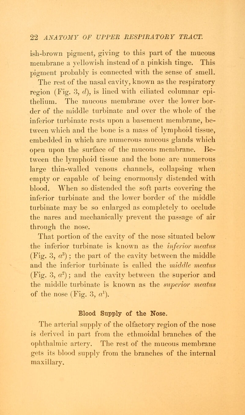 ish-brown pigment, giving to this part of the mucous membrane a yellowish instead of a pinkish tinge. This pigment probably is connected with the sense of smell. The rest of the nasal cavity, known as the respiratory region (Fig. 3, d), is lined with ciliated columnar epi- thelium. The mucous membrane over the lower bor- der of the middle turbinate and over the whole of the inferior turbinate rests upon a basement membrane, be- tween which and the bone is a mass of lymphoid tissue, embedded in which are numerous mucous glands which open upon the surface of the mucous membrane. Be- tween the lymphoid tissue and the bone are numerous large thin-walled venous channels, collapsing when empty or capable of being enormously distended with blood. When so distended the soft parts covering the inferior turbinate and the lower border of the middle turbinate may be so enlarged as completely to occlude the nares and mechanically prevent the passage of air through the nose. That portion of the cavity of the nose situated below the inferior turbinate is known as the inferior meatus (Fig. 3, a3); the part of the cavity between the middle and the inferior turbinate is called the middle meatus (Fig. 3, a2); and the cavity between the superior and the middle turbinate is known as the superior meatus of the nose (Fig. 3, a1). Blood Supply of the Nose. The arterial supply of the olfactory region of the nose is derived in part from the ethmoidal branches of the ophthalmic artery. The rest of the mucous membrane gets its blood supply from the branches of the internal maxillary.