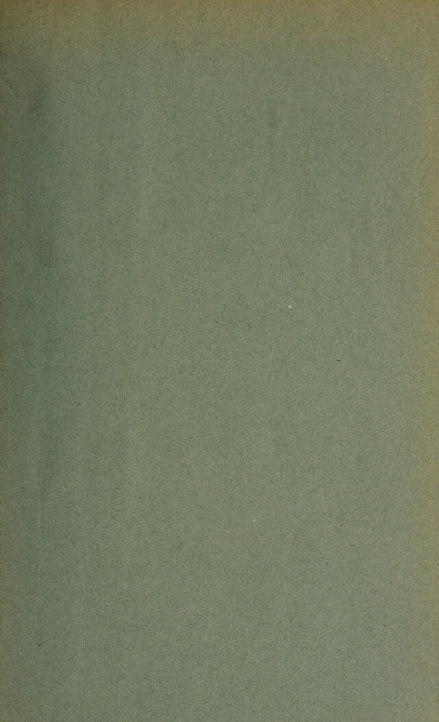 digitised image 3