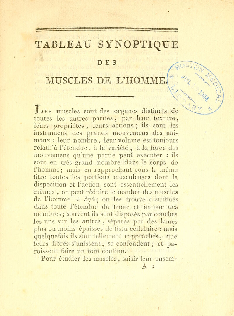 tatsBxssaa TABLEAU SYNOPTIQU DES MUSCLES DE L' Les muscles sont des organes distincts de toutes les autres parties, par leur texture, leurs propriétés _, leurs actions ; ils sont les instrumens des grands mouveniens des ani- maux : leur nombre, leur Yolume est toujours relatif à l'étendue, à la variété , à la force des mouvemens qu'une partie peut exécuter : ils sont en très-grand nombre dans le corps de Fhomnie; mais en rapprochant sous le même titre toutes les portions musculeuses dont la disposition et l'action sont essentiellement les mêmes , on peut réduire le nombre des muscles de l'homme à 374; on les trouve distribués dans toute l'étendue du tronc et autour des membres 5 souvent ils sont disposés par couches les uns sur les autres , séparés par des lames plus ou moins épaisses de tissu cellulaire : mais quelquefois ils sont tellement rapprochés , cjue leurs fibres s'unissent, se confondent, et pa- roissent faire un tout continu. - ' Pour étudier les muscles, saisir leur ensem- A 2