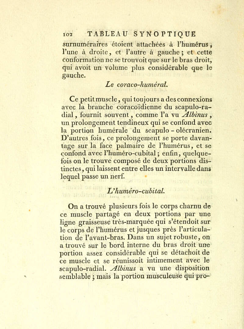surnuméraires étoient attachées à l'humérus, Tune à droite, et l'autre à gauche ; et cette conformation ne se trouvoit que sur le bras droit, qui avoit un volume plus considérable que le gauche. Le coraco-JiwnéraL Ce petit muscle, qui toujours a des connexions avec la branche coracôïdienne du scapulo-ra- dial, fournit souvent, comme l'a vu ydlbinus , un prolongement tendineux qui se confond avec la portion humérale du scapulo - olécranien. D'autres fois, ce prolongement se porte davan- tage sur la face palmaire de l'humérus, et se confond avec l'huméro-cubital ; enfin, quelque- fois on le trouve composé de deux portions dis- tinctes , qui laissent entre elles un intervalle dans lequel passe un nerf. UhumérO'CuhitaL On a trouvé plusieurs fois le corps charnu de ce muscle partagé en deux portions par une ligne graisseuse très-marquée qui s'étendoit sur le corps de l'humérus et jusques près l'articula- tion de l'avant-bras. Dans un sujet robuste, on a trouvé sur le bord interne du bras droit une portion assez considérable qui se détachoit de ce muscle et se réunissoit intimement avec le scapulo-radial. Alhinus a vu une disposition semblable j mais la portion musculeuè'e qui pro~