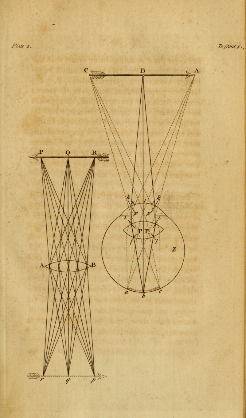 Plate 2. To/ivnl p f p-