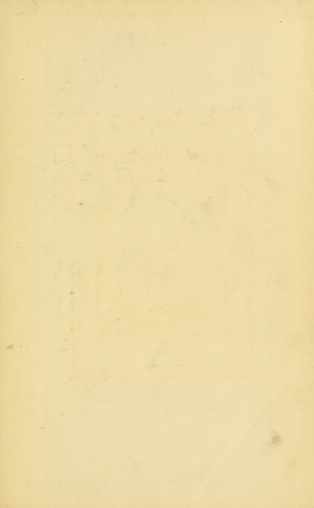digitised image 3