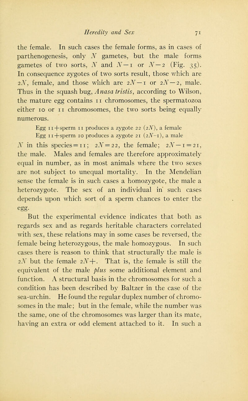 the female. In such cases the female forms, as in cases of parthenogenesis, only N gametes, but the male forms gametes of two sorts, N and N—i or N—2 (Fig. 35). In consequence zygotes of two sorts result, those v/hich are 2N, female, and those which are iN—i or 2N—2, male. Thus in the squash bug, Anasa tristis, according to Wilson, the mature egg contains 11 chromosomes, the spermatozoa either 10 or 11 chromosomes, the two sorts being equally numerous. Egg ii+sperm 11 produces a zygote 22 (27V), a female Egg ii+sperm 10 produces a zygote 21 {2N-1), a male N in this species=ii; 2N = 22, the female; 2A^—1 = 21, the male. Males and females are therefore approximately equal in number, as in most animals where the two sexes are not subject to unequal mortality. In the Mendelian sense the female is in such cases a homozygote, the male a heterozygote. The sex of an individual in' such cases depends upon which sort of a sperm chances to enter the egg- But the experimental evidence indicates that both as regards sex and as regards heritable characters correlated with sex, these relations may in some cases be reversed, the female being heterozygous, the male homozygous. In such cases there is reason to think that structurally the male is 2N but the female 2N-\-. That is, the female is still the equivalent of the male plus some additional element and function. A structural basis in the chromosomes for such a condition has been described by Baltzer in the case of the sea-urchin. He found the regular duplex number of chromo- somes in the male; but in the female, while the number was the same, one of the chromosomes was larger than its mate, having an extra or odd element attached to it. In such a