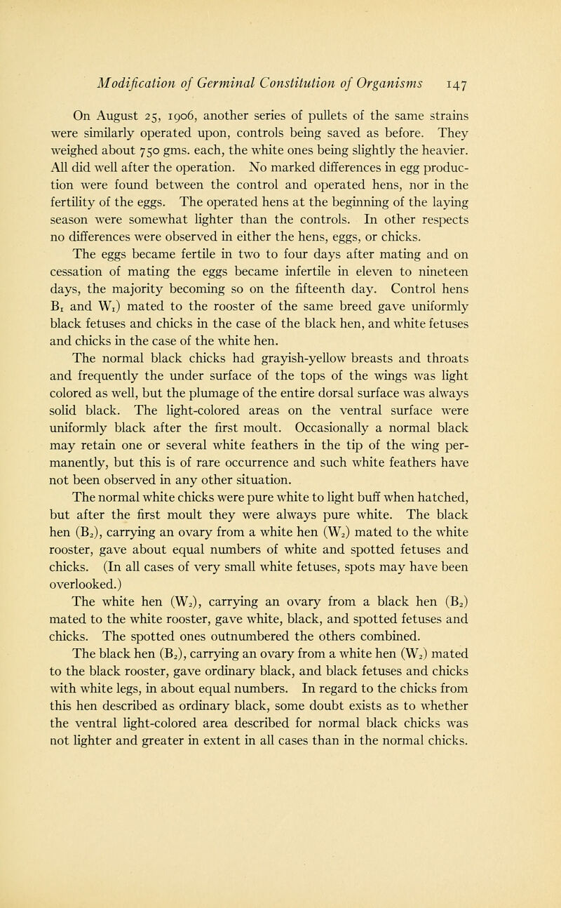 On August 25, 1906, another series of pullets of the same strains were similarly operated upon, controls being saved as before. They weighed about 750 gms. each, the white ones being slightly the heavier. All did well after the operation. No marked differences in egg produc- tion were foimd between the control and operated hens, nor in the fertility of the eggs. The operated hens at the beginning of the laying season were somewhat lighter than the controls. In other respects no differences were observed in either the hens, eggs, or chicks. The eggs became fertile in two to four days after mating and on cessation of mating the eggs became infertile in eleven to nineteen days, the majority becoming so on the fifteenth day. Control hens Bi and Wi) mated to the rooster of the same breed gave imiformly black fetuses and chicks in the case of the black hen, and white fetuses and chicks in the case of the white hen. The normal black chicks had grayish-yellow breasts and throats and frequently the imder surface of the tops of the wings was light colored as well, but the plumage of the entire dorsal surface was always solid black. The light-colored areas on the ventral surface were uniformly black after the first moult. Occasionally a normal black may retain one or several white feathers in the tip of the wing per- manently, but this is of rare occurrence and such white feathers have not been observed in any other situation. The normal white chicks were pure white to light bufT when hatched, but after the first moult they were always pure white. The black hen (B2), carrying an ovary from a white hen (W2) mated to the white rooster, gave about equal mmibers of white and spotted fetuses and chicks. (In all cases of very small white fetuses, spots may have been overlooked.) The white hen (W2), carrying an ovary from a black hen (B2) mated to the white rooster, gave white, black, and spotted fetuses and chicks. The spotted ones outnumbered the others combined. The black hen (B2), carrying an ovary from a white hen (W2) mated to the black rooster, gave ordinary black, and black fetuses and chicks with white legs, in about equal numbers. In regard to the chicks from this hen described as ordinary black, some doubt exists as to whether the ventral light-colored area described for normal black chicks was not lighter and greater in extent in all cases than in the normal chicks.