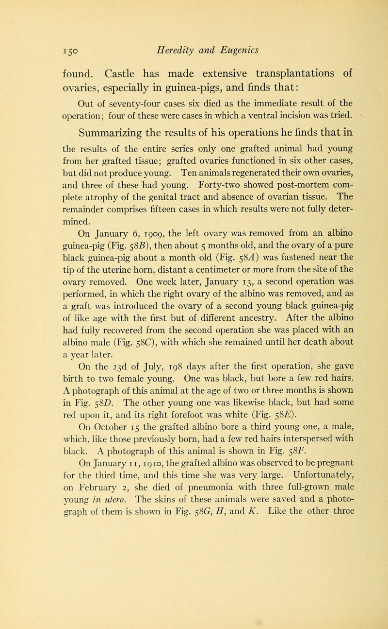 found. Castle has made extensive transplantations of ovaries, especially in guinea-pigs, and finds that: Out of seventy-four cases six died as the immediate result of the operation; four of these were cases in which a ventral incision was tried. Summarizing the results of his operations he finds that in the results of the entire series only one grafted animal had young from her grafted tissue; grafted ovaries functioned in six other cases, but did not produce yoimg. Ten animals regenerated their own ovaries, and three of these had young. Forty-two showed post-mortem com- plete atrophy of the genital tract and absence of ovarian tissue. The remainder comprises fifteen cases in which results were not fully deter- mined. On January 6, 1909, the left ovary was removed from an albino guinea-pig (Fig. 58^), then about 5 months old, and the ovary of a pure black guinea-pig about a month old (Fig. 58^) was fastened near the tip of the uterine horn, distant a centimeter or more from the site of the ovary removed. One week later, January 13, a second operation was performed, in which the right ovary of the albino was removed, and as a graft was introduced the ovary of a second young black guinea-pig of like age with the first but of different ancestry. After the albino had fully recovered from the second operation she was placed with an albino male (Fig. 58C), with which she remained until her death about a year later. On the 23d of July, 198 days after the first operation, she gave birth to two female young. One was black, but bore a few red hairs. A photograph of this animal at the age of two or three months is shown in Fig. 58Z>. The other young one was likewise black, but had some red upon it, and its right forefoot was white (Fig. s8£). On October 15 the grafted albino bore a third young one, a male, which, like those previously born, had a few red hairs interspersed with black. A photograph of this animal is shown in Fig. 58F. On January II, 1910, the grafted albino was observed to be pregnant for the third time, and this time she was very large. Unfortimately, on February 2, she died of pneumonia with three full-grown male young in utero. The skins of these animals were saved and a photo- graph of them is shown in Fig. 58G, H, and K. Like the other three