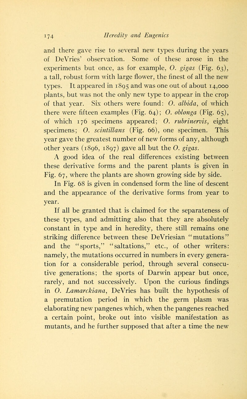 and there gave rise to several new types during the years of DeVries' observation. Some of these arose in the experiments but once, as for example, 0. gigas (Fig. 63), a tall, robust form with large flower, the finest of all the new types. It appeared in 1895 and was one out of about 14,000 plants, but was not the only new type to appear in the crop of that year. Six others were found: O. albida, of which there were fifteen examples (Fig. 64); O. oblonga (Fig. 65), of which 176 specimens appeared; O. rubrinervis, eight specimens; O. scintillans (Fig. 66), one specimen. This year gave the greatest number of new forms of any, although other years (1896, 1897) gave all but the 0. gigas. A good idea of the real differences existing between these derivative forms and the parent plants is given in Fig. 67, where the plants are shown growing side by side. In Fig. 68 is given in condensed form the line of descent and the appearance of the derivative forms from year to year. If all be granted that is claimed for the separateness of these types, and admitting also that they are absolutely constant in type and in heredity, there still remains one striking difference between these DeVriesian mutations and the sports, saltations, etc., of other writers: namely, the mutations occurred in numbers in every genera- tion for a considerable period, through several consecu- tive generations; the sports of Darwin appear but once, rarely, and not successively. Upon the curious findings in O. Lamarckiana, DeVries has built the hypothesis of a premutation period in which the germ plasm was elaborating new pangenes which, when the pangenes reached a certain point, broke out into visible manifestation as mutants, and he further supposed that after a time the new