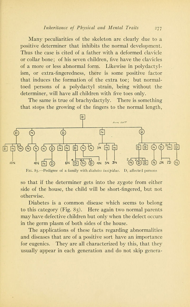 Many peculiarities of the skeleton are clearly due to a positive determiner that inhibits the normal development. Thus the case is cited of a father with a deformed clavicle or collar bone; of his seven children, five have the clavicles of a more or less abnormal form. Likewise in polydactyl- ism, or extra-fingeredness, there is some positive factor that induces the formation of the extra toe; but normal- toed persons of a polydactyl strain, being without the determiner, will have all children with five toes only. The same is true of brachydactyly. There is something that stops the growing of the fingers to the normal length, 0 (§ S H ^ [^ \^% ®^ (u) (d) [^[n] [d] (n)^ 3N ^ [n] [d][b] (n)(d)^[^[d] ION 4N [^® 6N ^[d]^ ^ 4N 5N 3N ® ^©^[d] (n) 2N 2D ® Fig. 85.—Pedigree of a family with diabetes insipidus. D, aiiected persons SO that if the determiner gets into the zygote from either side of the house, the child will be short-fingered, but not otherwise. Diabetes is a common disease which seems to belong to this category (Fig. 85). Here again two normal parents may have defective children but only when the defect occurs in the germ plasm of both sides of the house. The applications of these facts regarding abnormalities and diseases that are of a positive sort have an importance for eugenics. They are all characterized by this, that they usually appear in each generation and do not skip genera-