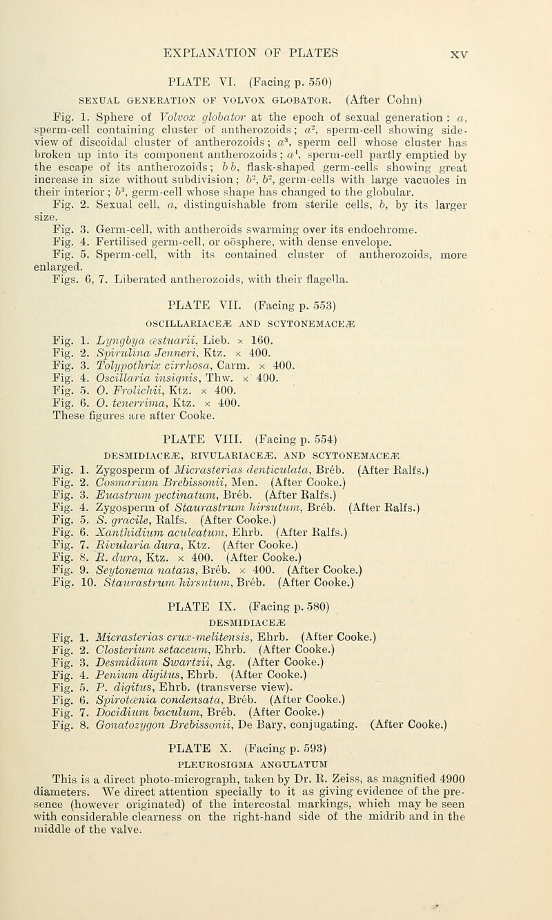 PLATE VI. (Facing p. 550) SEXUAL GENERATION OF VOLVOX GLOBATOR. (After Cohll) Fig. 1. Sphere of Volvox globator at the epoch of sexual generation : a, sperm-cell containing cluster of antherozoids; a', sperm-cell showing side- view of discoidal cluster of antherozoids; a^, sperm cell whose cluster has broken up into its component antherozoids; a*, sperm-cell partly emptied by the escape of its antherozoids; 6 b, flask-shaped germ-cells showing great increase in size without subdivision; 6-, 6'', germ-cells with large vacuoles in their interior; 6^, germ-cell whose shape has changed to the globular. Fig. 2. Sexual cell, a, distinguishable from sterile cells, b, by its larger size. Fig. 3. Germ-cell, with antheroids swarming over its endochrome. Fig. 4. Fertilised germ-cell, or o5sphere, with dense envelope. Fig. 5. Sperm-cell, with its contained cluster of antherozoids, more enlarged. Figs. 6, 7. Liberated antherozoids, with their flageUa. PLATE VII. (Facing p. 553) OSCILLARIACE^ AND SCYTONEMACE^ Fig. 1. Lyncjbya cestuarii, Lieb. x 160. Fig. 2. Spirulina Jenneri, Ktz. x 400. Fig. 3. Tolypothrix cirrhosa, Carm. x 400. Fig. 4. Oscillaria insignis, Thw. x 400. Fig. 5. 0. Frolichii, Ktz. x 400. Fig. 6. 0. teuerrima, Ktz. x 400. These figures are after Cooke. PLATE VIII. (Facing p. 554) DESMIDIACE^, RIVULARIACE^, AND SCYTONEMACE^ Fig. 1. Zygosperm of Micrasterias denticulata, Breb. (After Ealfs.) Fig. 2. Cosmariwn Brebissonii, Men. (After Cooke.) Fig. 3. Euastntm 2xctinahtm, Bxeh. (After Ralfs.) Fig. 4. Zygosperm of Siaurastrum hirsutum, Breb. (After Ealfs.) Fig. 5. S. gracile, Ralfs. (After Cooke.) Fig. 6. Xanihidiimi aculeatum, Ehrb. (After Ealfs.) Fig. 7. Bivularia dura, Ktz. (After Cooke.) Fig. 8. B. dtcra, Ktz. x 400. (After Cooke.) Fig. 9. Seijtonema nutans, Breb. x 400. (After Cooke.) Fig. 10. Staurastrwn liirsutum, Breb. (After Cooke.) PLATE IX. (Facing p. 580) DESMIDIACE^ Fig. 1. Micrasterias crux-inelitensis, Ehrb. (After Cooke.) Fig. 2. Clost&rium setaceum, Ehrb. (After Cooke.) Fig. 3. Desmidium Sioartzii, Ag. (After Cooke.) Fig. 4. Penium digitus, Ehrb. (After Cooke.) Fig. 5. P. digitus, Ehrb. (transverse view). Fig. 6. SpirotcBnia condensata, Breb. (After Cooke.) Fig. 7. Docidium baculum, Breb. (After Cooke.) Fig. 8. Gonatozijgon Brebissonii, De Bary, conjugating. (After Cooke.) PLATE X. (Facing p. 598) PLEUROSIGMA ANGULATUM This is a direct photo-micrograph, taken by Dr. R. Zeiss, as magnified 4900 diameters. We direct attention specially to it as giving evidence of the pre- sence (however originated) of the intercostal markings, which may be seen with considerable clearness on the right-hand side of the midrib and in the middle of the valve.