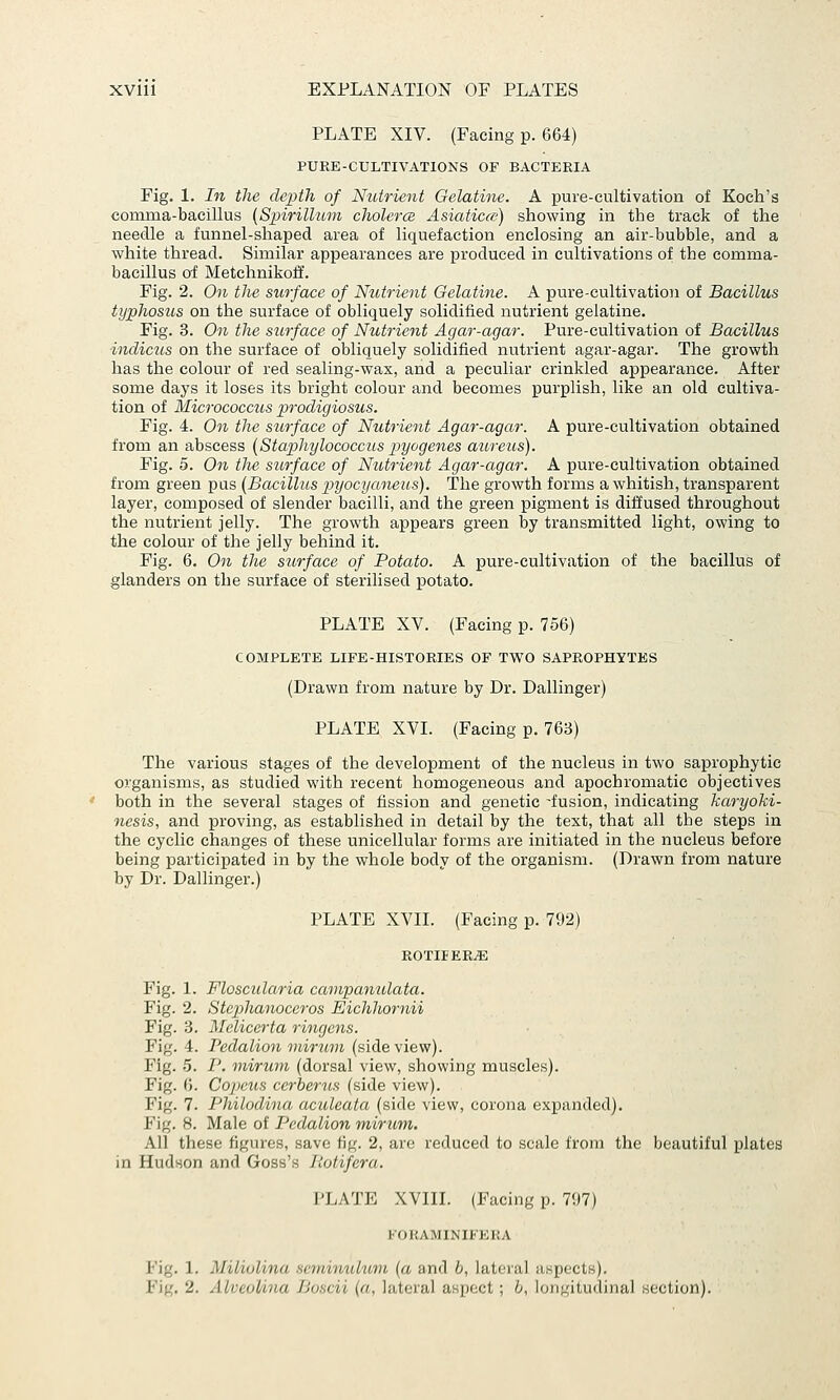 PLATE XIV. (Facing p. 664) PURE-CULTIVATIONS OF BACTERIA Fig. 1. In the depth of Nutrient Gelatine. A pure-cultivation of Koch's comma-bacillus (Spirillum cholerce Asiatic^') showing in the track of the needle a funnel-shaped area of liquefaction enclosing an air-bubble, and a white thread. Similar appearances are produced in cultivations of the comma- bacillus of Metchnikoiif. Fig. 2. 071 the surface of Nutrient Gelatine. A pure-cultivation of Bacillus typhosus on the surface of obliquely solidified nutrient gelatine. Fig. 3. On the surface of Nutrient Agar-agar. Pure-cultivation of Bacillus indicus on the surface of obliquely solidified nutrient agar-agar. The growth has the colour of red sealing-wax, and a peculiar crinkled appearance. After some days it loses its bright colour and becomes purplish, like an old cultiva- tion of Micrococcus prodigiosus. Fig. 4. On the sttrface of Nutrient Agar-agar. A pure-cultivation obtained from an abscess {Staphylococcus pyogenes aureus). Fig. 5. On the surface of Nutrient Agar-agar. A pure-cultivation obtained from green pus [Bacillus pyocyaneus). The growth forms a whitish, transparent layer, composed of slender bacilli, and the green pigment is diffused throughout the nutrient jelly. The growth appears green by transmitted light, owing to the colour of the jelly behind it. Fig. 6. On the surface of Potato. A pure-cultivation of the bacillus of glanders on the surface of sterilised potato. PLATE XV. (Facing p. 756) COMPLETE LIFE-HISTORIES OF TWO SAPROPHYTES (Drawn from nature by Dr. Dallinger) PLATE XVI. (Facing p. 763) The various stages of the development of the nucleus in two saprophytic organisms, as studied with recent homogeneous and apochromatic objectives both in the several stages of fission and genetic -fusion, indicating karyoki- nesis, and proving, as established in detail by the text, that all the steps in the cyclic changes of these unicellular forms are initiated in the nucleus before being participated in by the whole body of the organism. (Drawn from nature by Dr. Dallinger.) PLATE XVII. (Facing p. 792) ROTIFERS Fig. 1. Floscularia campanulata. Fig. 2. Stcphanoccros Eichhornii Fig. 3. Melicerta ringens. Fig. 4. Pedalion mirtmi (side view). Fig. 5. P. mirum (dorsal view, showing muscles). Fig. 6. Copeus cerherus (side view). Fig. 7. Philoclina aculeata (side view, corona expanded). Fig. 8. Male of Pedalion mirum. All these figures, save fig. 2, are reduced to scale from the beautiful plates in Hudson and Goss's Piotifera. PLATE XVIII. (Facing p. 7U7) KOKAMXNIFERA Fig. 1. Miliulina semimdum (a and b, lateral aspects).
