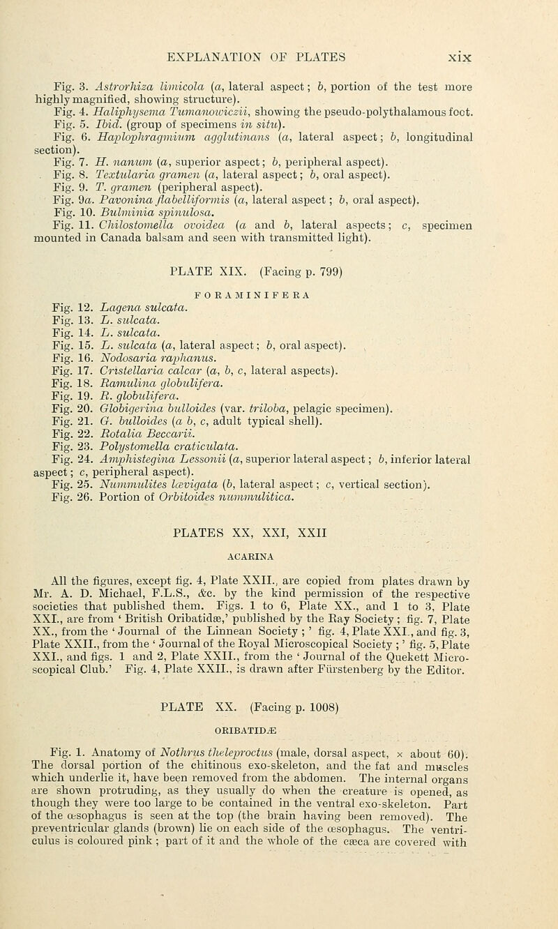 Fig. 3. Astrorhiza liniicola (a, lateral aspect; b, portion of the test more highly magniiied, showing structure). Fig. 4. Haliphysema Tumanoioiczii, showing the pseucTo-polythalamous foot. Fig. 5. Ibid, (group of specimens in situ). Fig. 6. Haplojphragmium agglutinans {a, lateral aspect; &, longitudinal section). Fig. 7. H. nanwn {a, superior aspect; b, peripheral aspect). Fig. 8. Textularia gravien {a, lateral aspect; b, oral aspect). Fig. 9. T. gramen (peripheral aspect). Fig. 9a. Pavonina fiabelliformis {a, lateral aspect; b, oral aspect). Fig. 10. Bulminia spinulosa. Fig. 11. Chilostomeila ovoiclea (a and b, lateral aspects; c, specimen mounted in Canada balsam and seen with transmitted light). PLATE XIX. (Facing p. 799) FORAMINIFERA Fig. 12. Lagena sulcata. Fig. 13. L. sulcata. Fig. 14. L. sulcata. Fig. 15. i. sttZcato (a, lateral aspect; &, oral aspect). Fig. 16. Noclosaria raphanus. Fig. 17. Crisiellaria calcar (a, b, c, lateral aspects). Fig. 18. Ramulina globulifera. Fig. 19. R. globulifera. Fig. 20. Globigerina bulloides (var. triloba, pelagic specimen). Fig. 21. G. bulloides {a b, c, adult typical shell). Fig. 22. Rotalia Beccarii. Fig. 23. Polystomella craticulata. Fig. 24. Ampliistegina Lessonii {a, superior lateral aspect; b, inferior lateral aspect; c, peripheral aspect). Fig. 25. Nummulites Icevigata [b, lateral aspect; c, vertical section). Fig. 26. Portion of Orbitoides nimvmulitica. PLATES XX, XXI, XXII ACARINA All the figures, except fig. 4, Plate XXII., are copied from plates drawn by Mr. A. D. Michael, F.L.S., &c. by the kind permission of the respective societies that published them. Figs. 1 to 6, Plate XX., and 1 to 3, Plate XXL, are from ' British Oribatidse,' published by the Eay Society; fig. 7, Plate XX., from the ' Journal of the Linnean Society ; ' fig. 4, Plate XXL, and fig. 3, Plate XXIL, from the ' Journal of the Eoyal Microscopical Society ;' fig. 5, Plate XXL, and figs. 1 and 2, Plate XXIL, from the ' Journal of the Quekett Micro- scopical Club.' Fig. 4, Plate XXIL, is drawn after Fiirstenberg by the Editor. PLATE XX. (Facing p. 1008) ORIBATIDiE Fig. 1. Anatomy of Nothrus tlmleproctus (male, dorsal aspect, x about 60). The dorsal portion of the chitinous exo-skeleton, and the fat and muscles which underlie it, have been removed from the abdomen. The internal organs are shown protruding, as they usually do when the creature is opened, as though they were too large to be contained in the ventral exo-skeleton. Part of the Cbsophagus is seen at the top (the brain having been removed). The preyentricular glands (brown) lie on each side of the cesophagus. The ventri- culus is coloured pink ; part of it and the whole of the caca are covered with